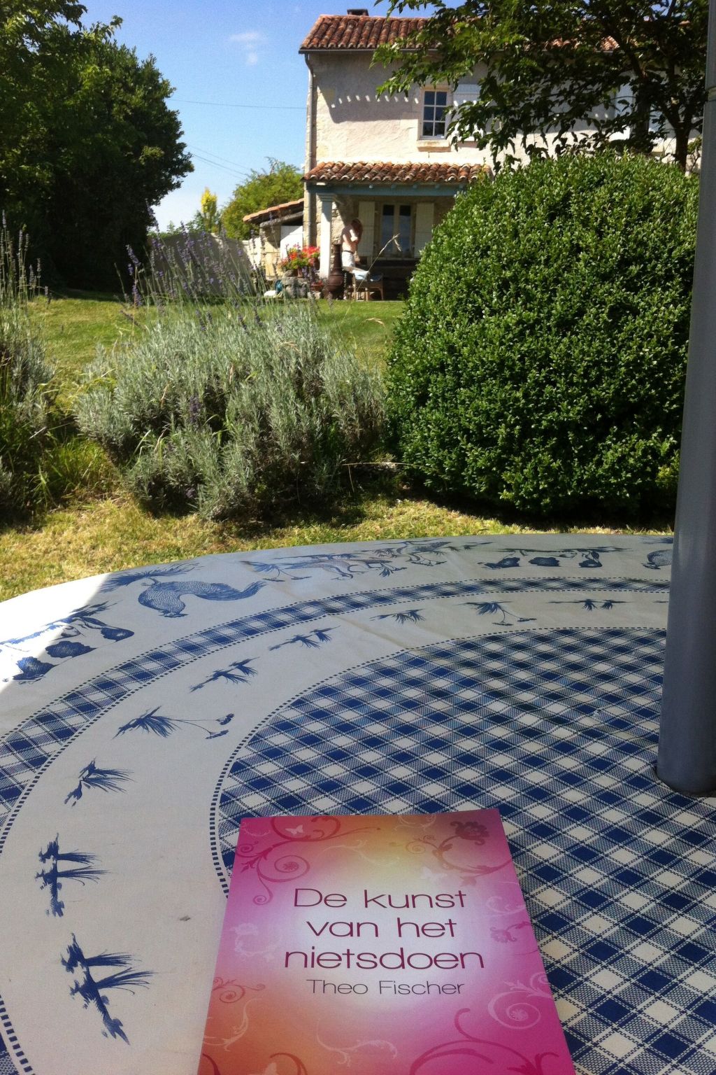 Swimmingpool, Garten, Aussicht, Stille, Kinder, Spielzeug-Outside