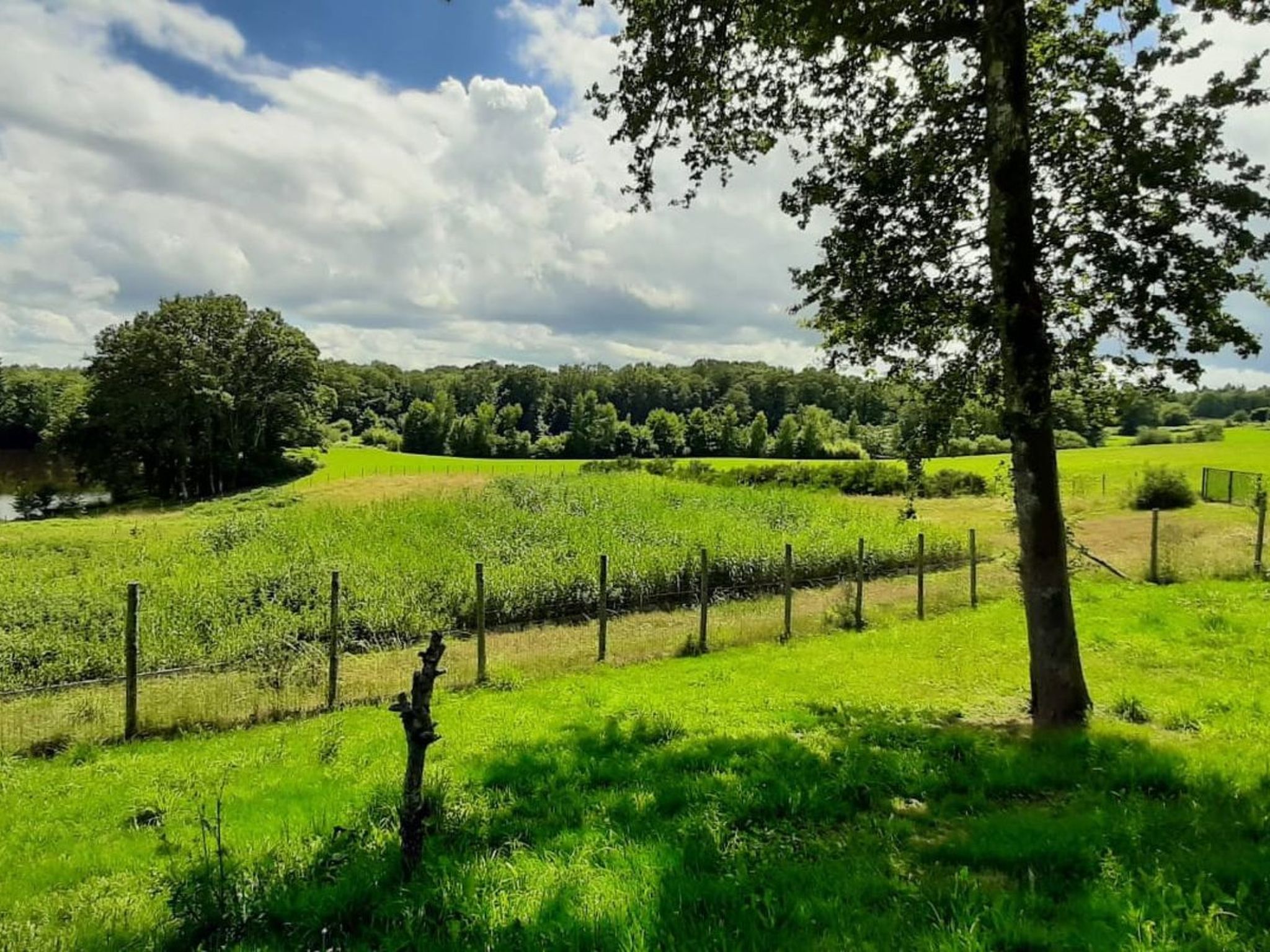 Chalet B10 Yemanisi in der Dordogne-Binnen