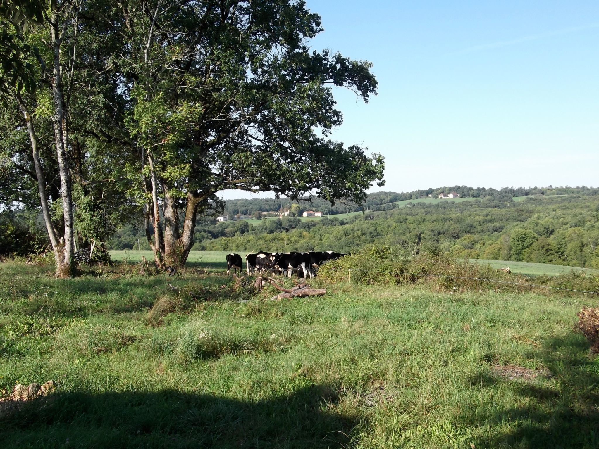 Das Kleine Haus-Draußen