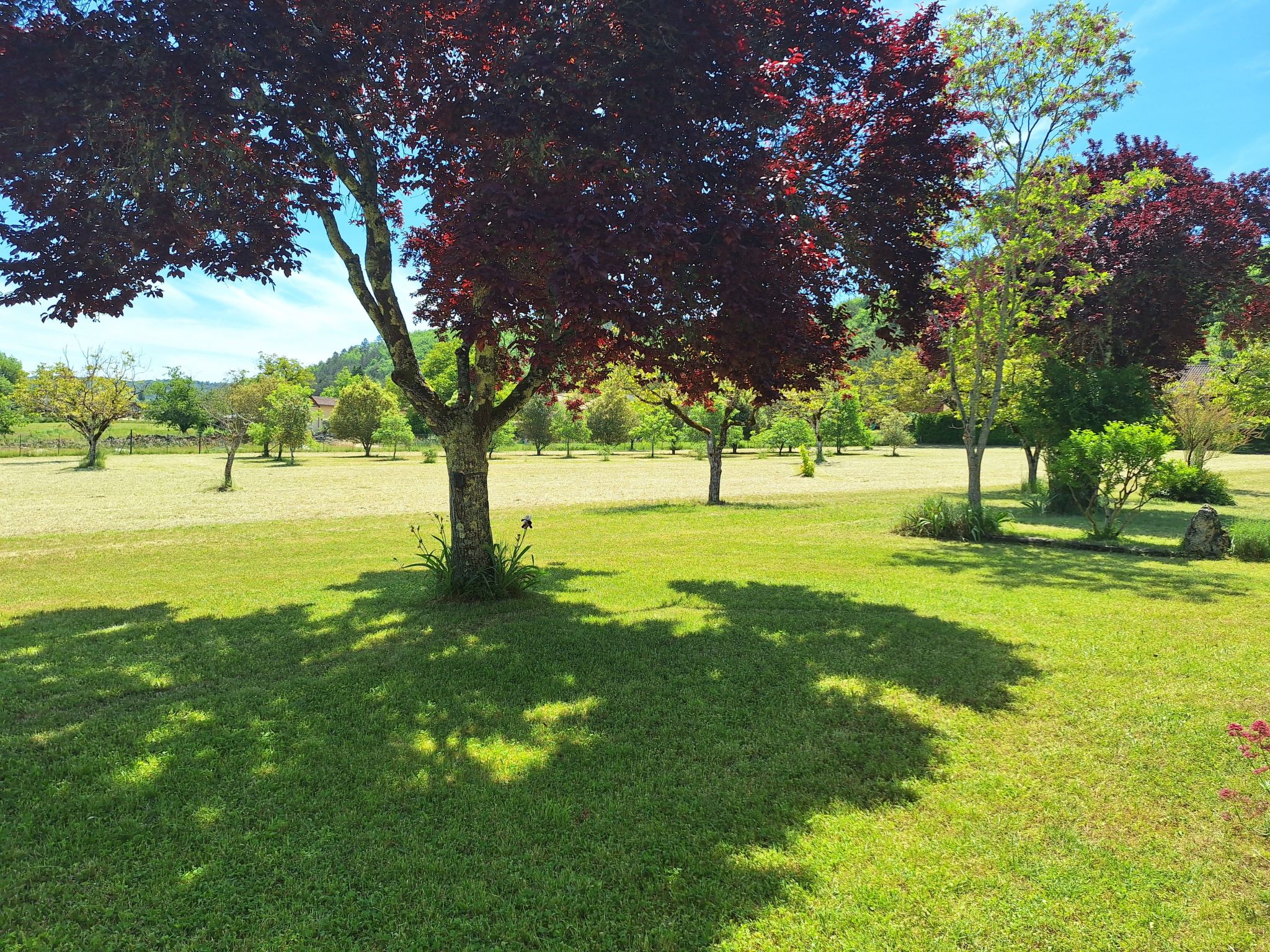 Im Périgord in Saint-Cybranet-Binnen