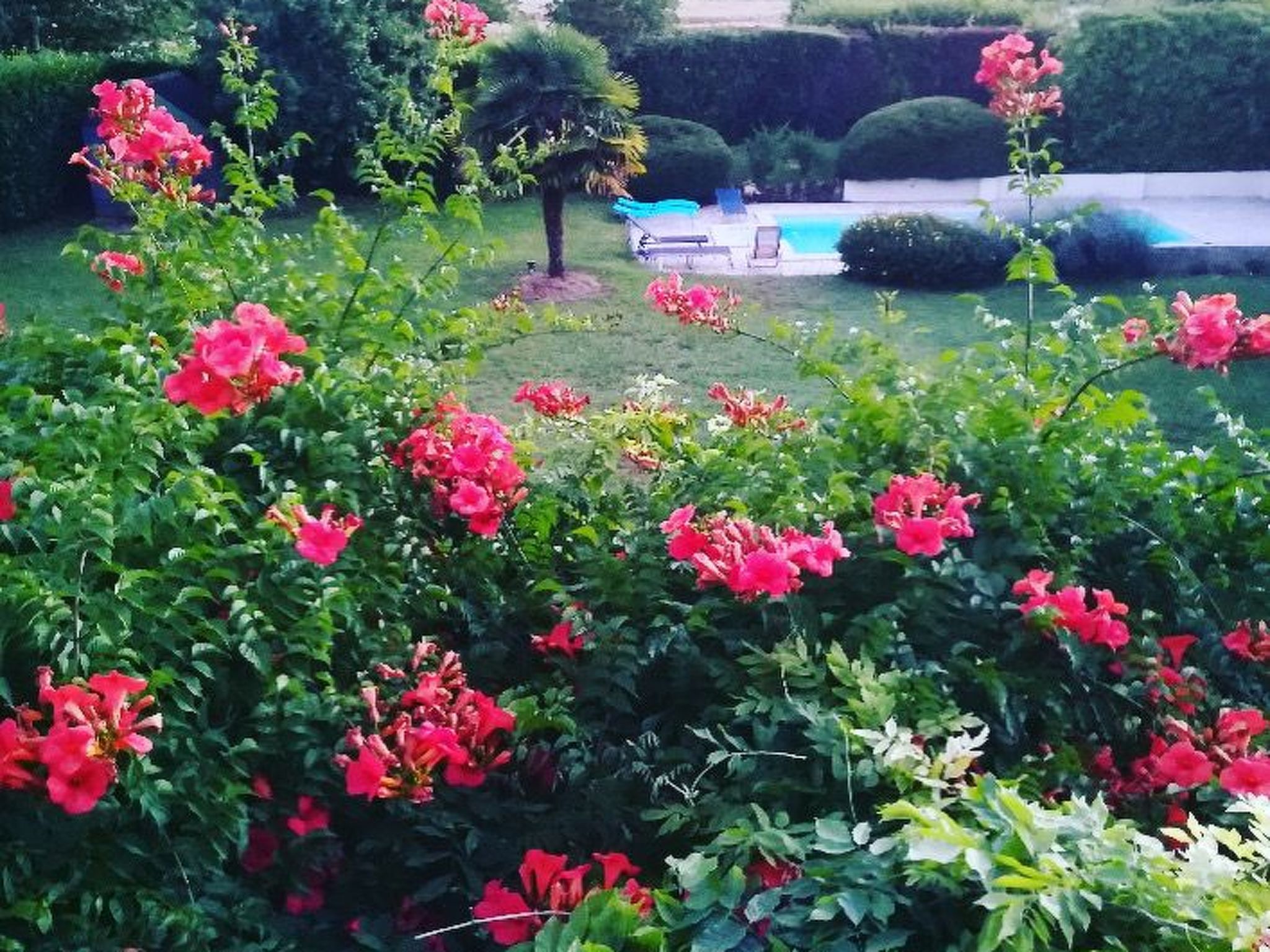 Ehemaliger Bauernhof Le Bonheur in Sainte-Mondane-Binnen