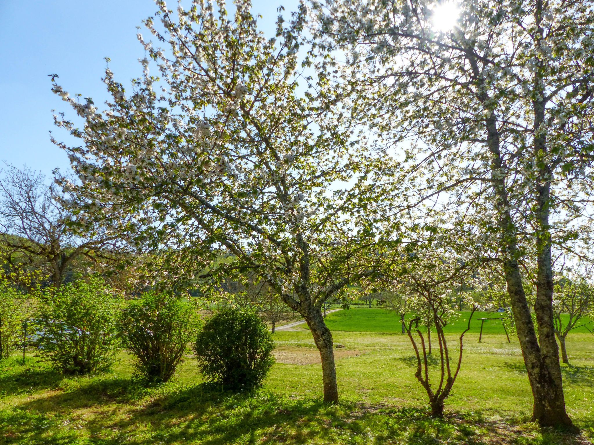 Ehemaliger Bauernhof Le Bonheur in Sainte-Mondane-Binnen