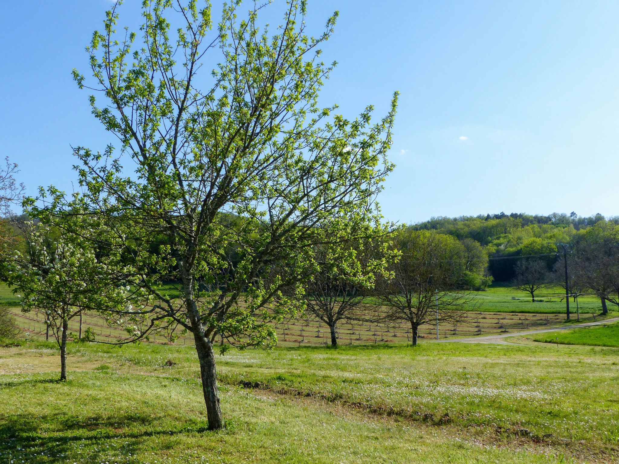 Doppelhaushälfte in einem alten Bauernhof im Périgourdine-Binnen