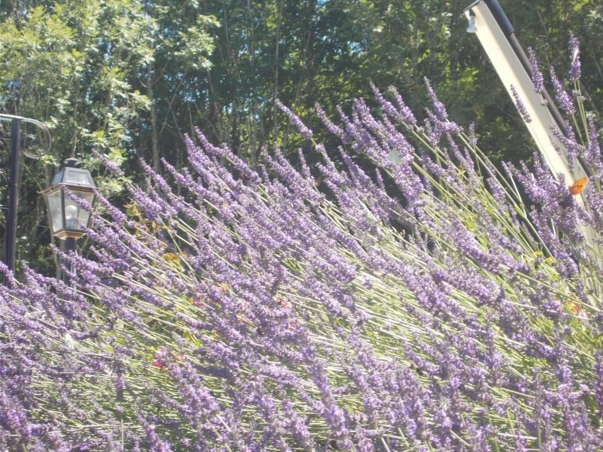 Landhaus in der Dordogne-Image-tags.info