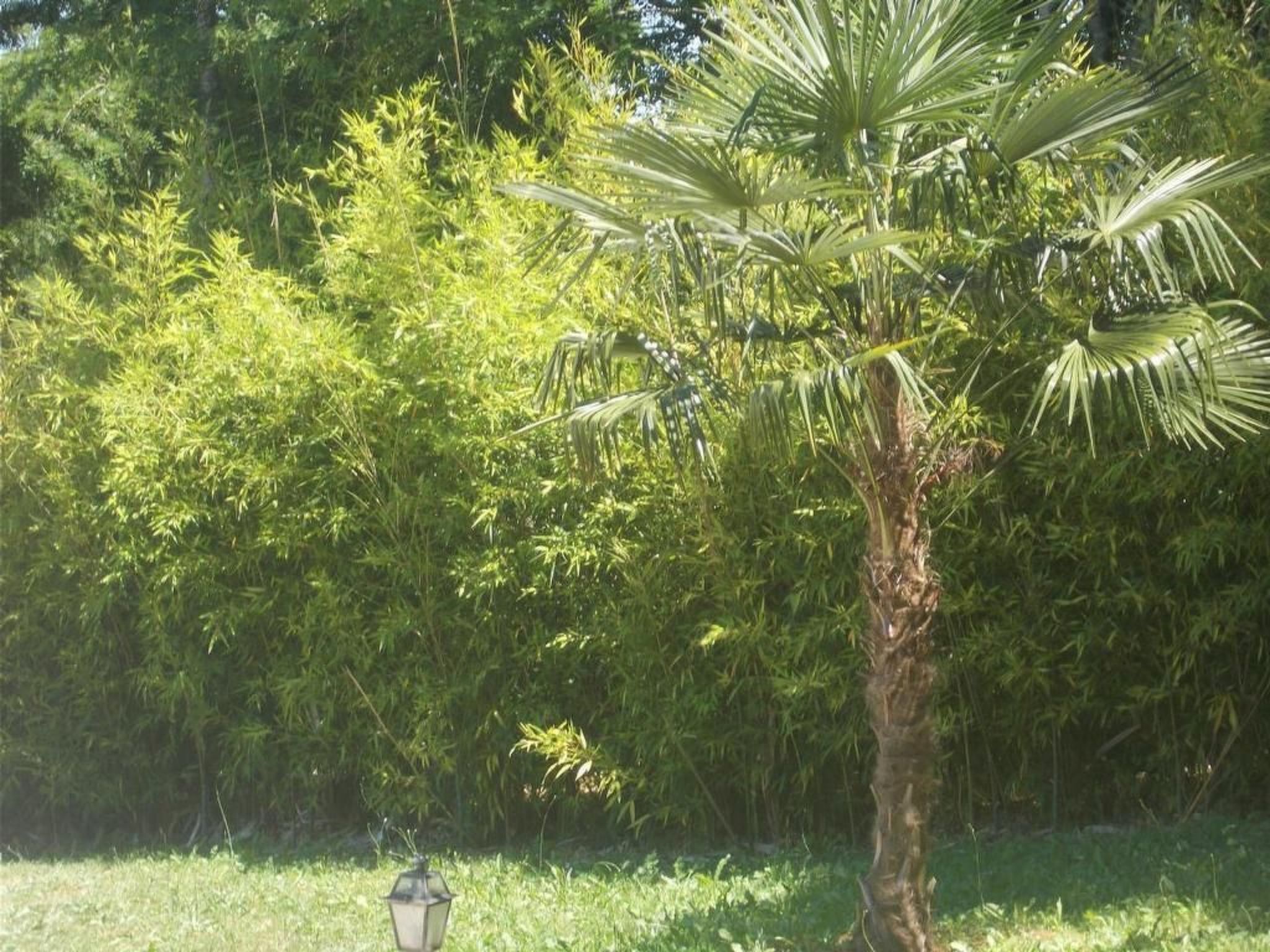 Landhaus in der Dordogne-Image-tags.info