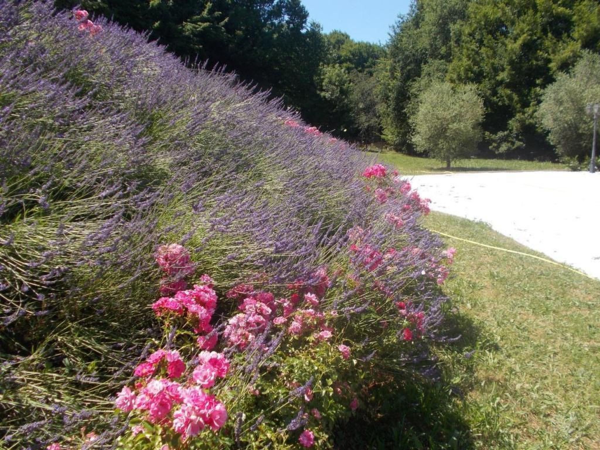 Landhaus in der Dordogne-Buiten