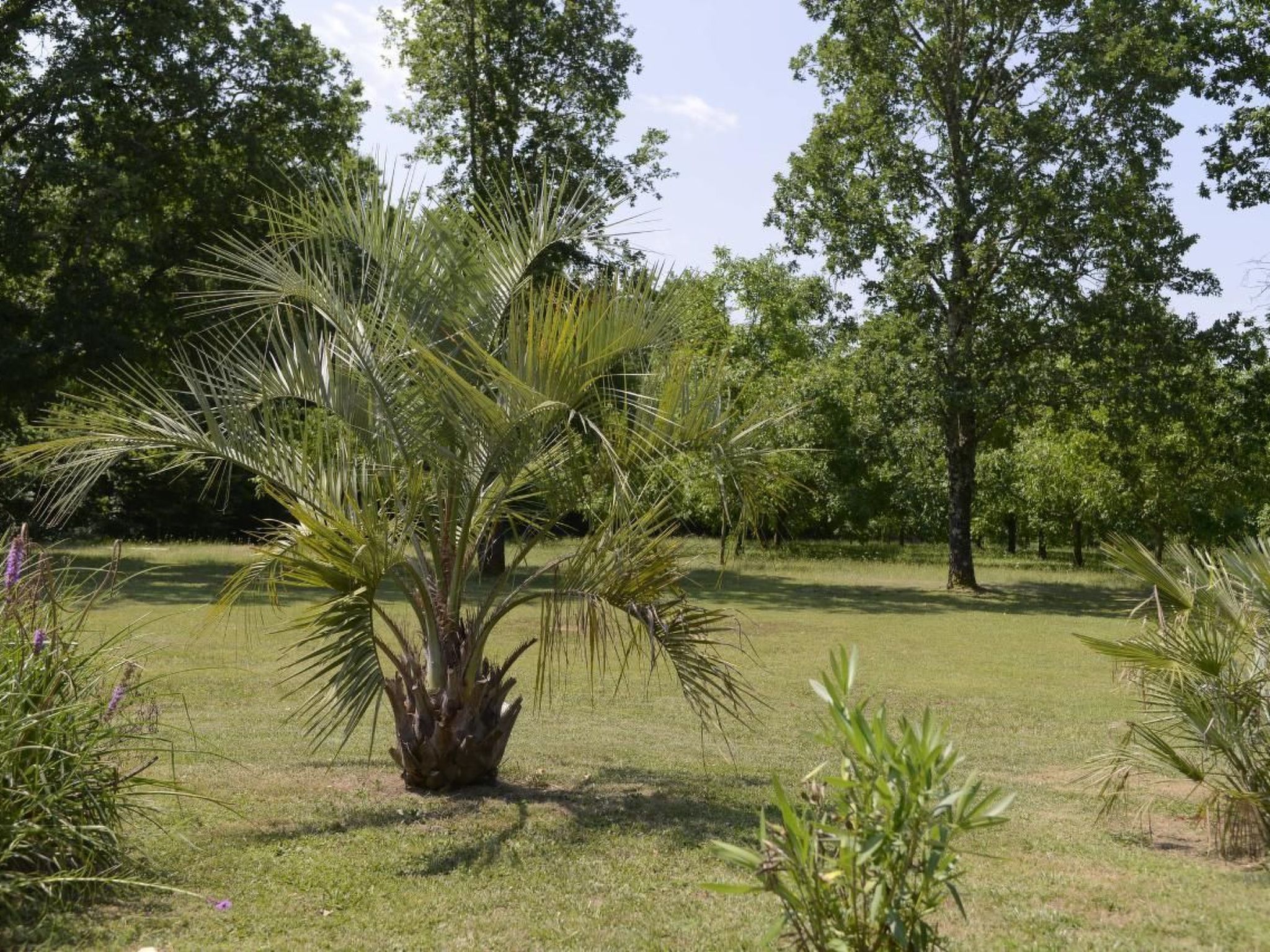 Villa DUXCAAR Beaum.-Binnen