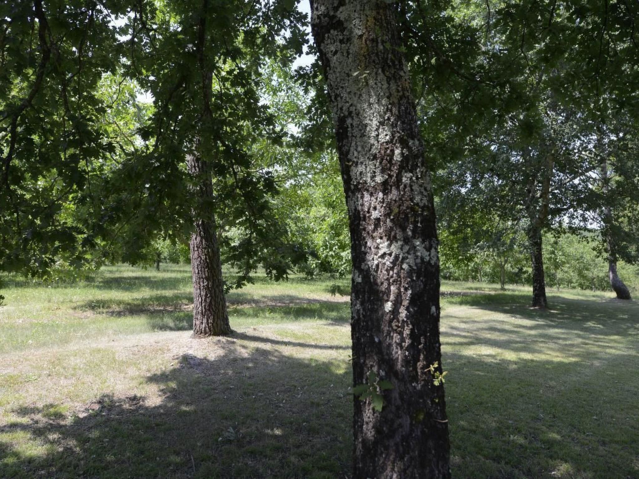 Villa DUXCAAR Beaum.-Binnen