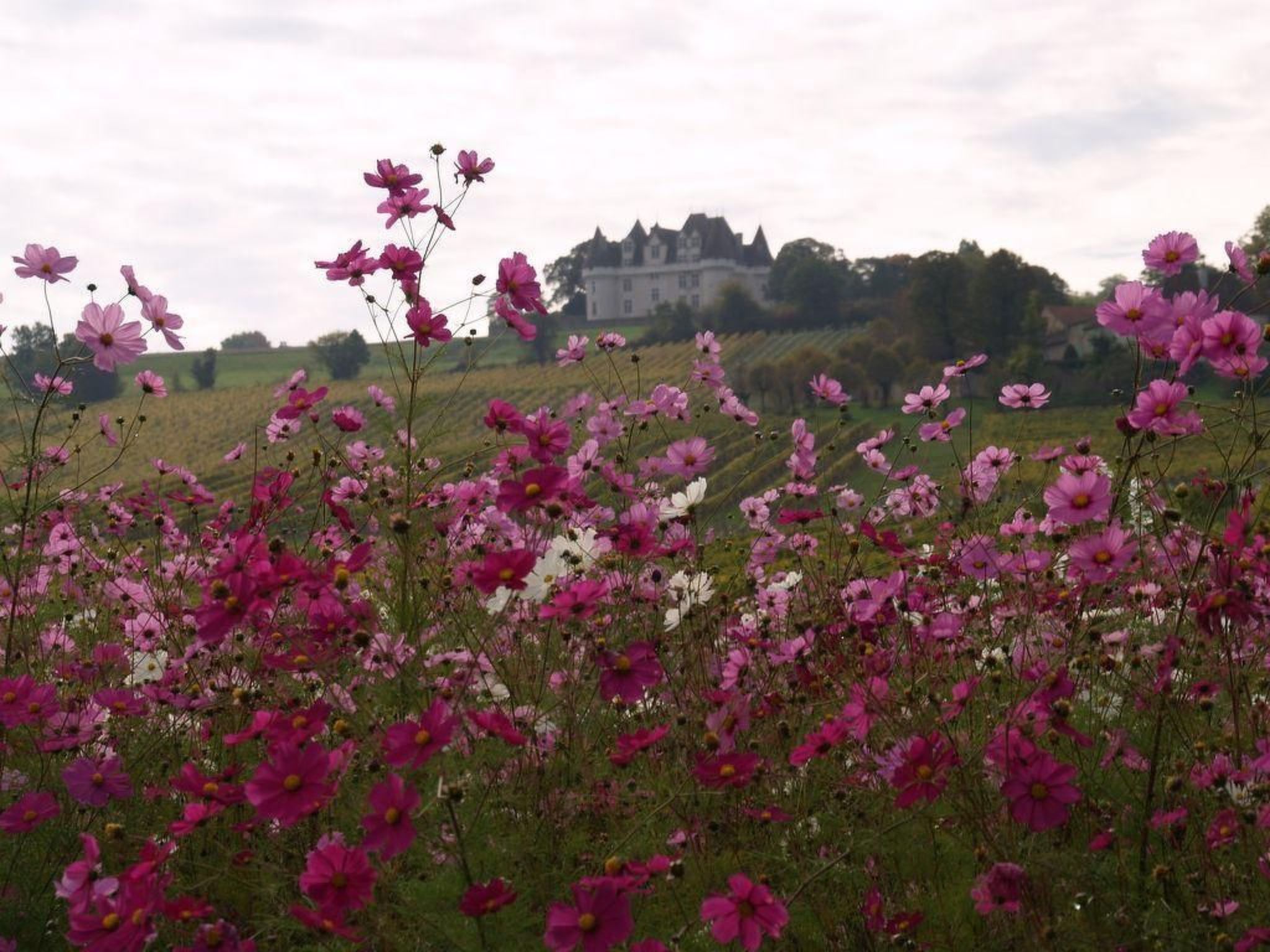 Villa DUXCAAR Beaum.-Binnen