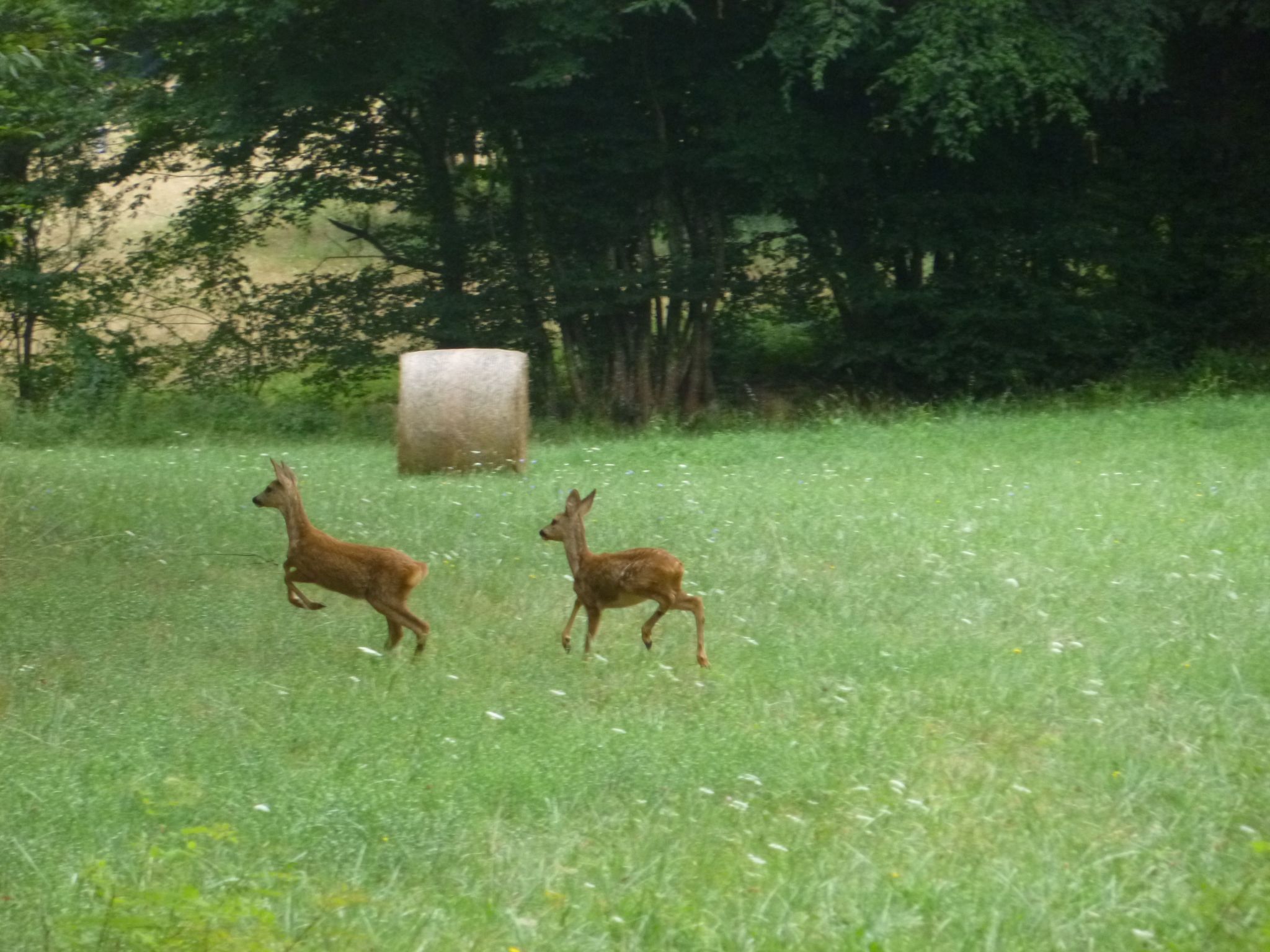 Haus mit Charme Komfort Ruhe Privatpool-Binnen