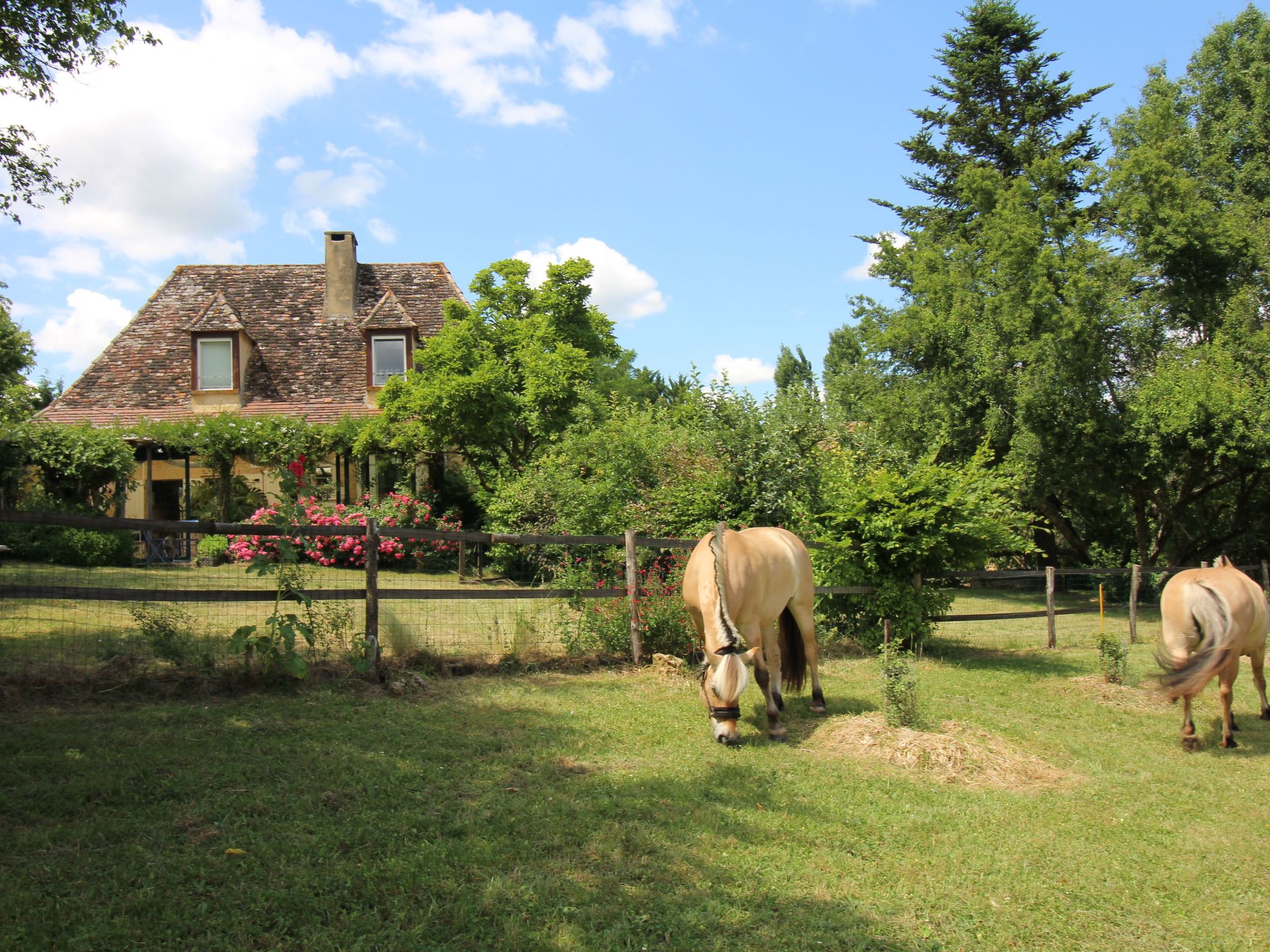 Komfort, Ruhe, privater Pool, EV-Ladestation-Binnen
