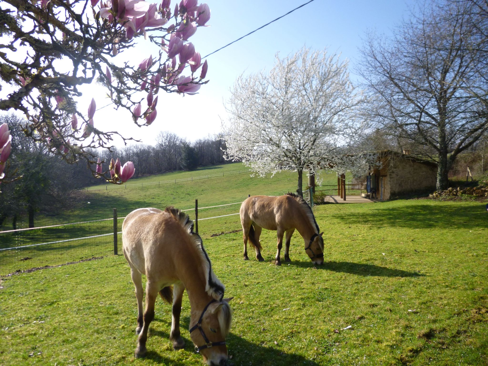 Komfort, Ruhe, privater Pool, EV-Ladestation-Binnen
