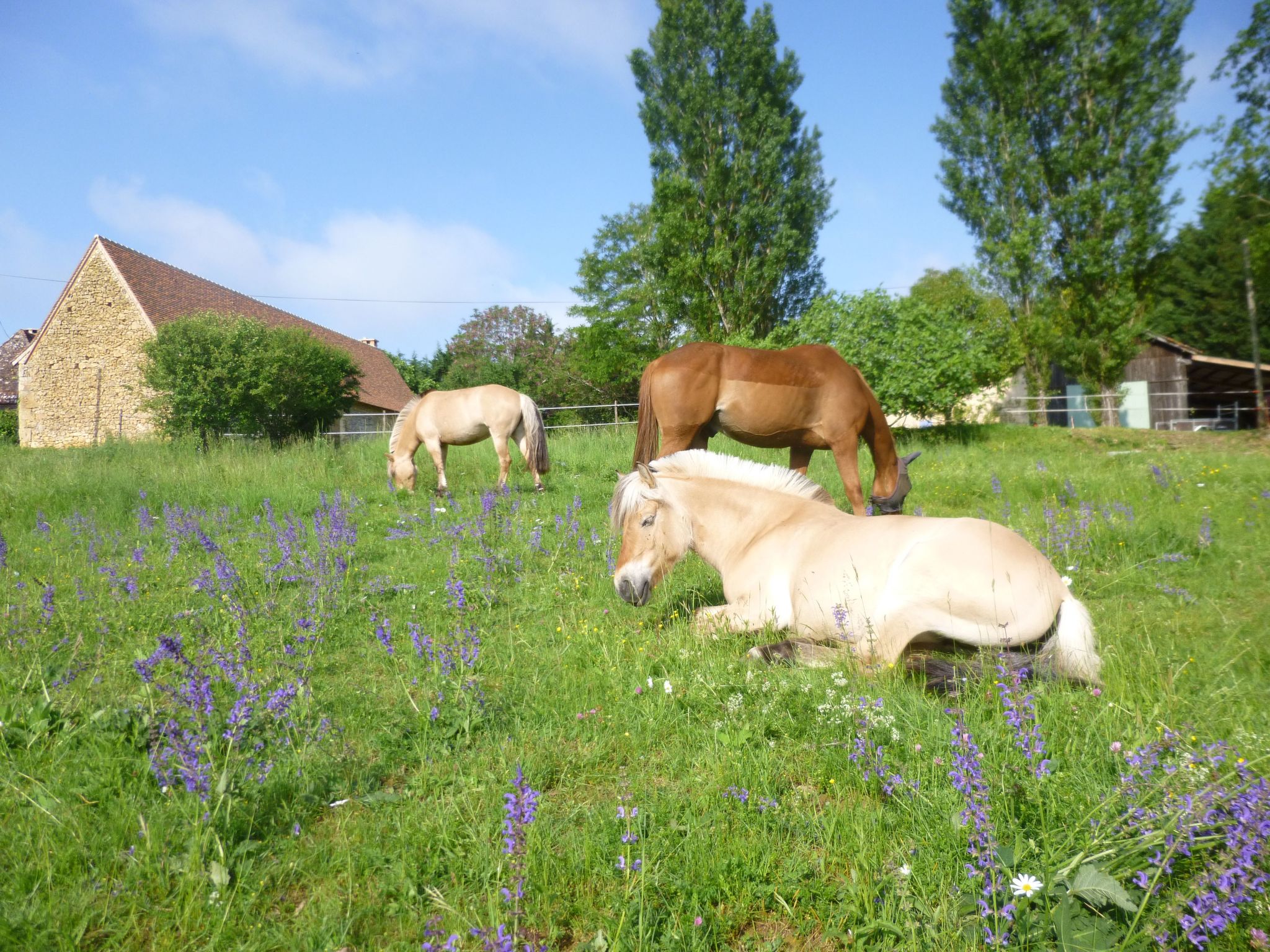 Komfort, Ruhe, privater Pool, EV-Ladestation-Binnen