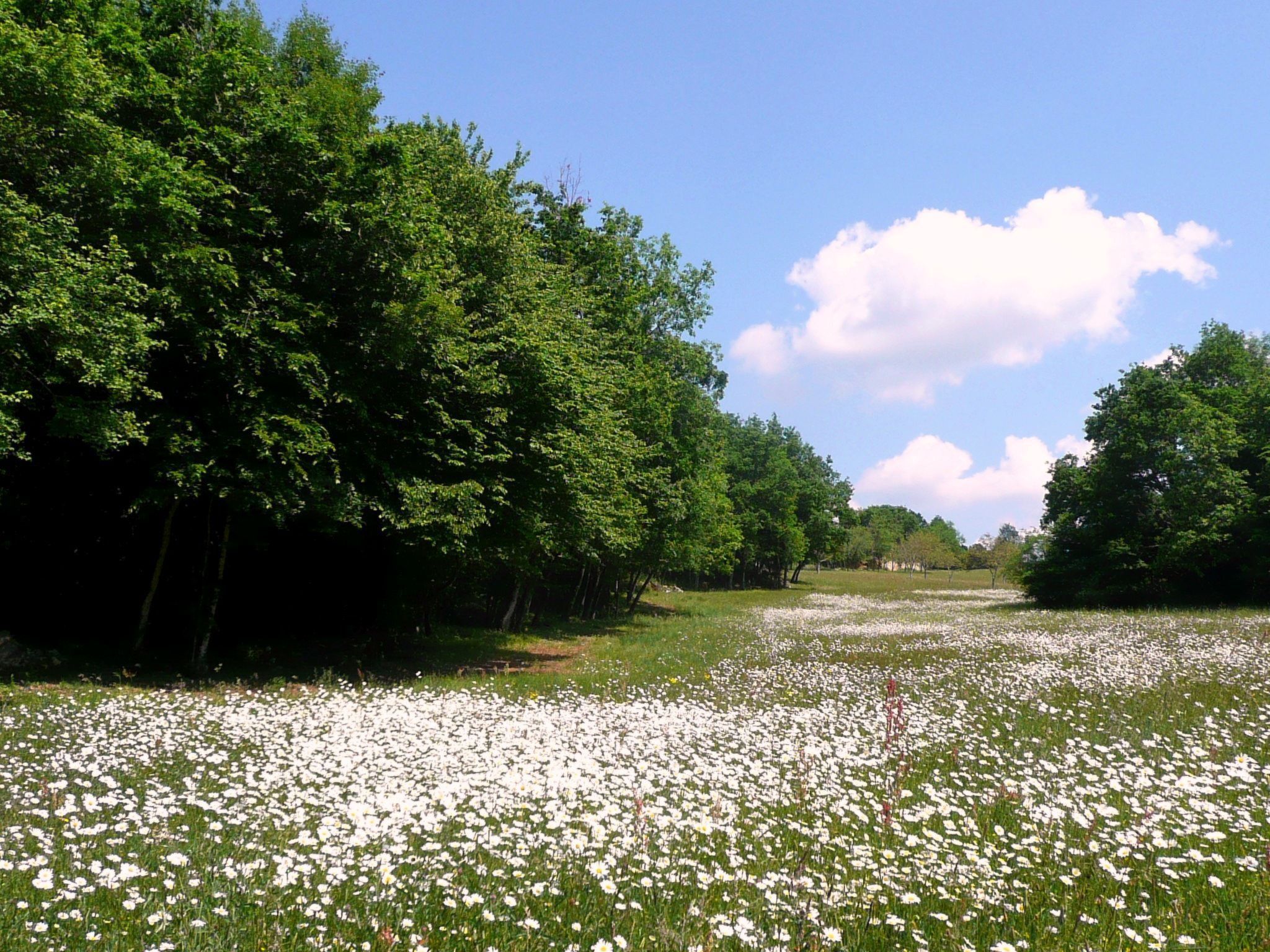 Feriendorf im Périgord - Villa 4-6 pers.-Image-tags.info