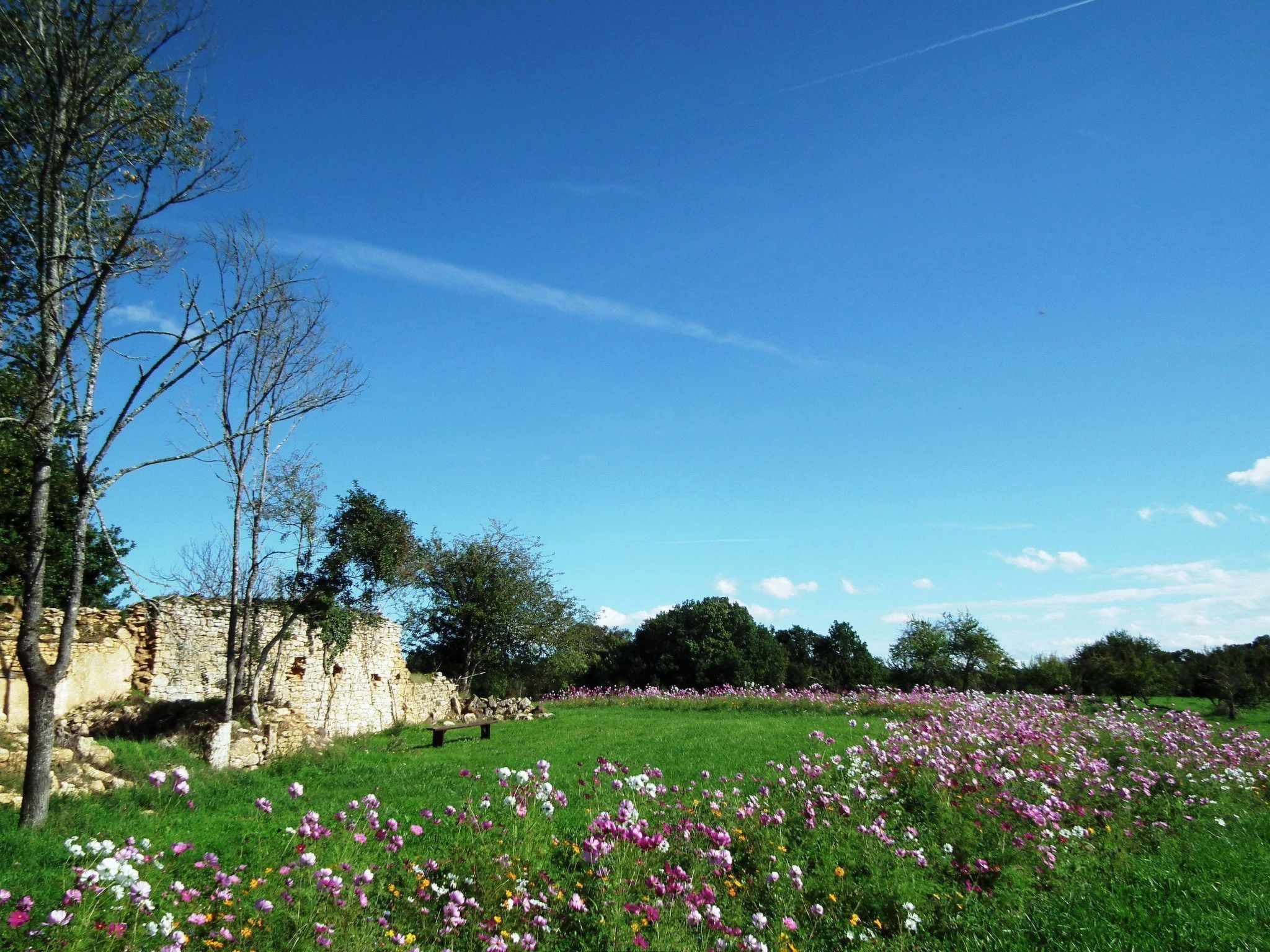 Feriendorf im Périgord - Villa 6-8 pers.-Image-tags.info