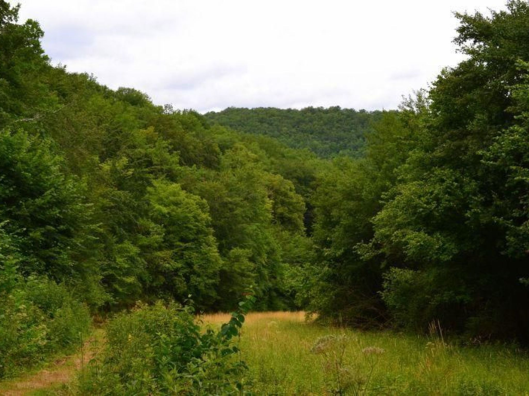 Romantisch gîte voor twee aan golfbaan in Souillac, Dordogne - foto 35