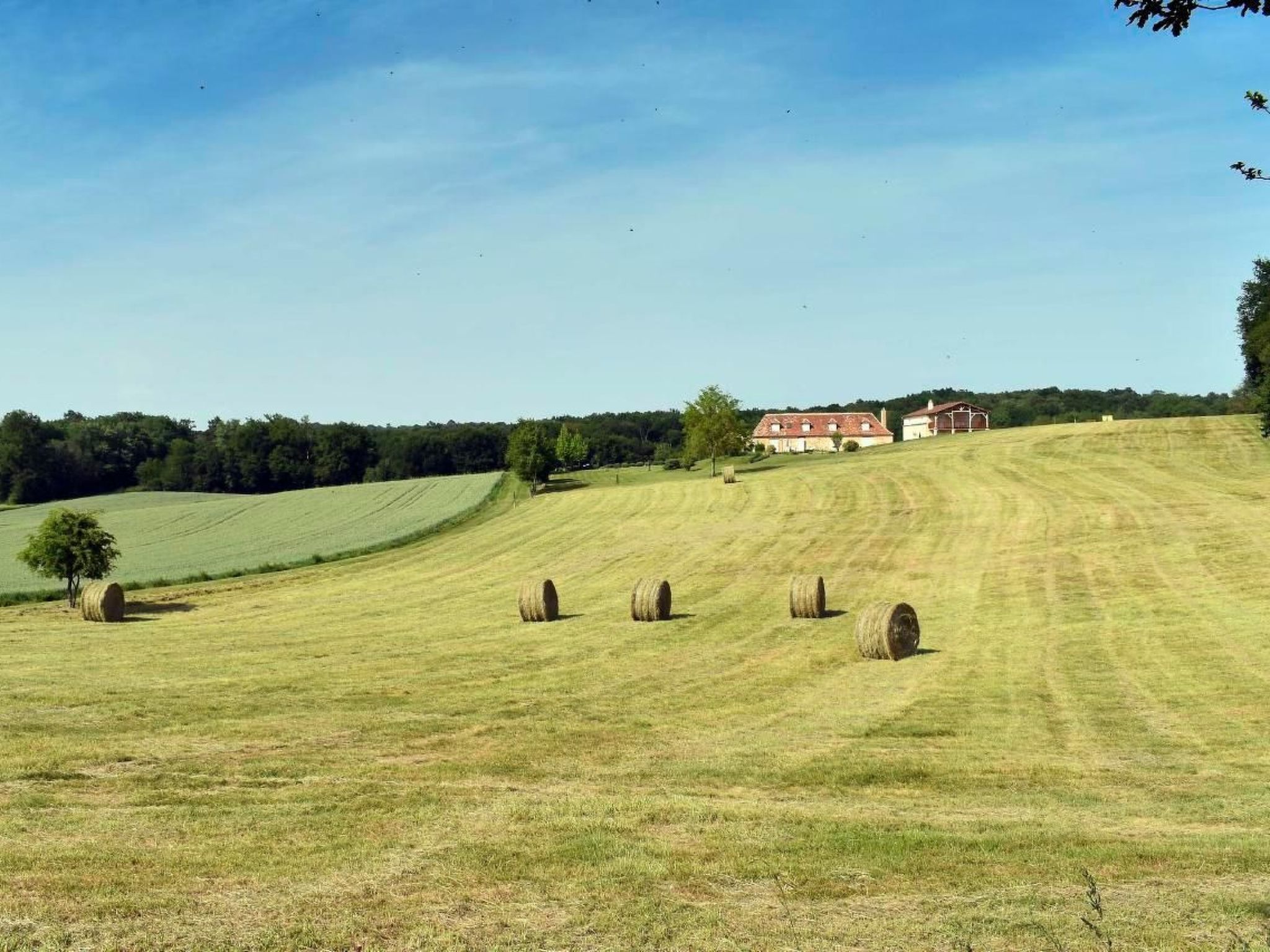 Domäne "Domaine de Ravel"-Binnen