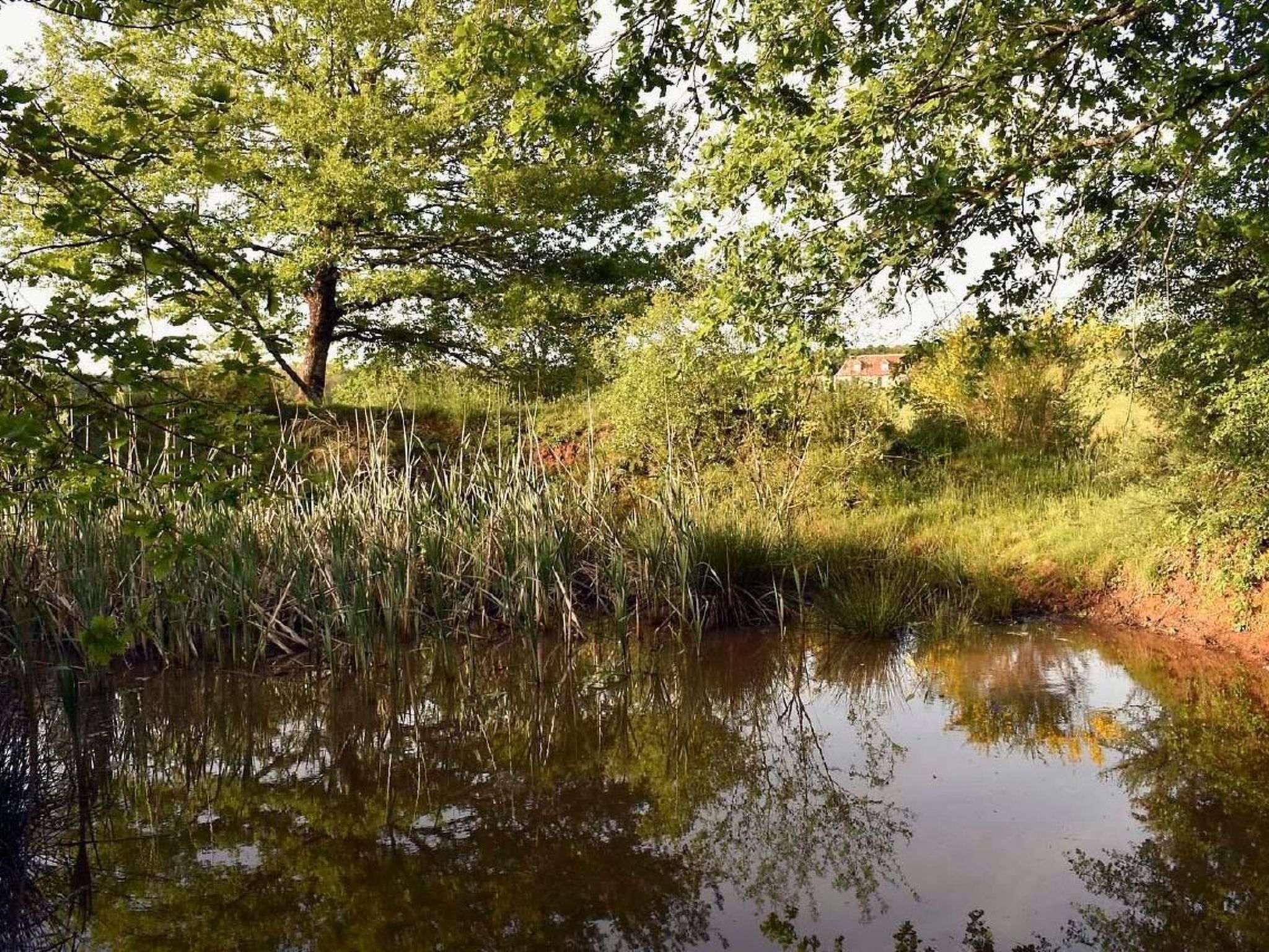 Domäne "Domaine de Ravel"-Binnen