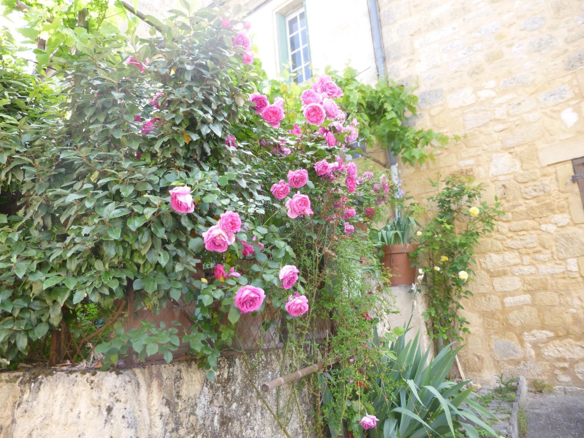 Haus freistehend Sonne Bett 160cm Patio billig-Dedans