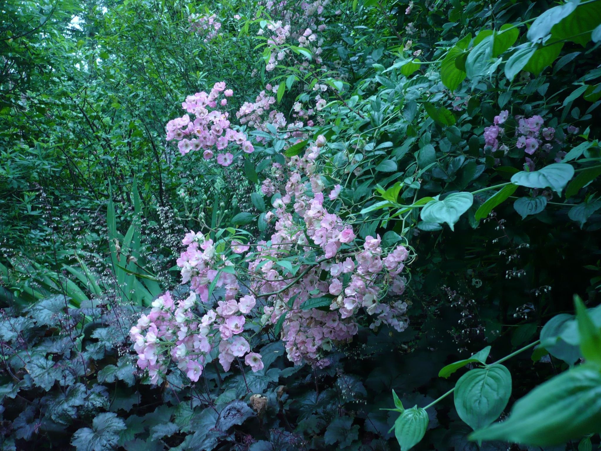 Haus freistehend Sonne Bett 160cm Patio billig-Dedans