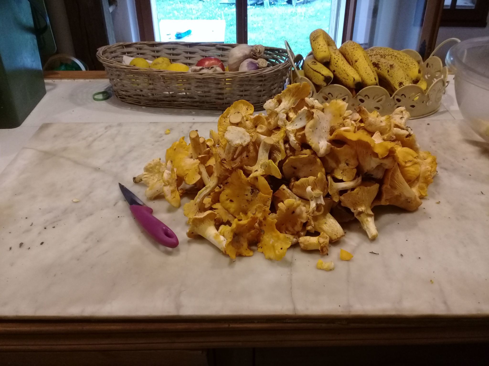 Haus freistehend Sonne Bett 160cm Patio billig-Dedans