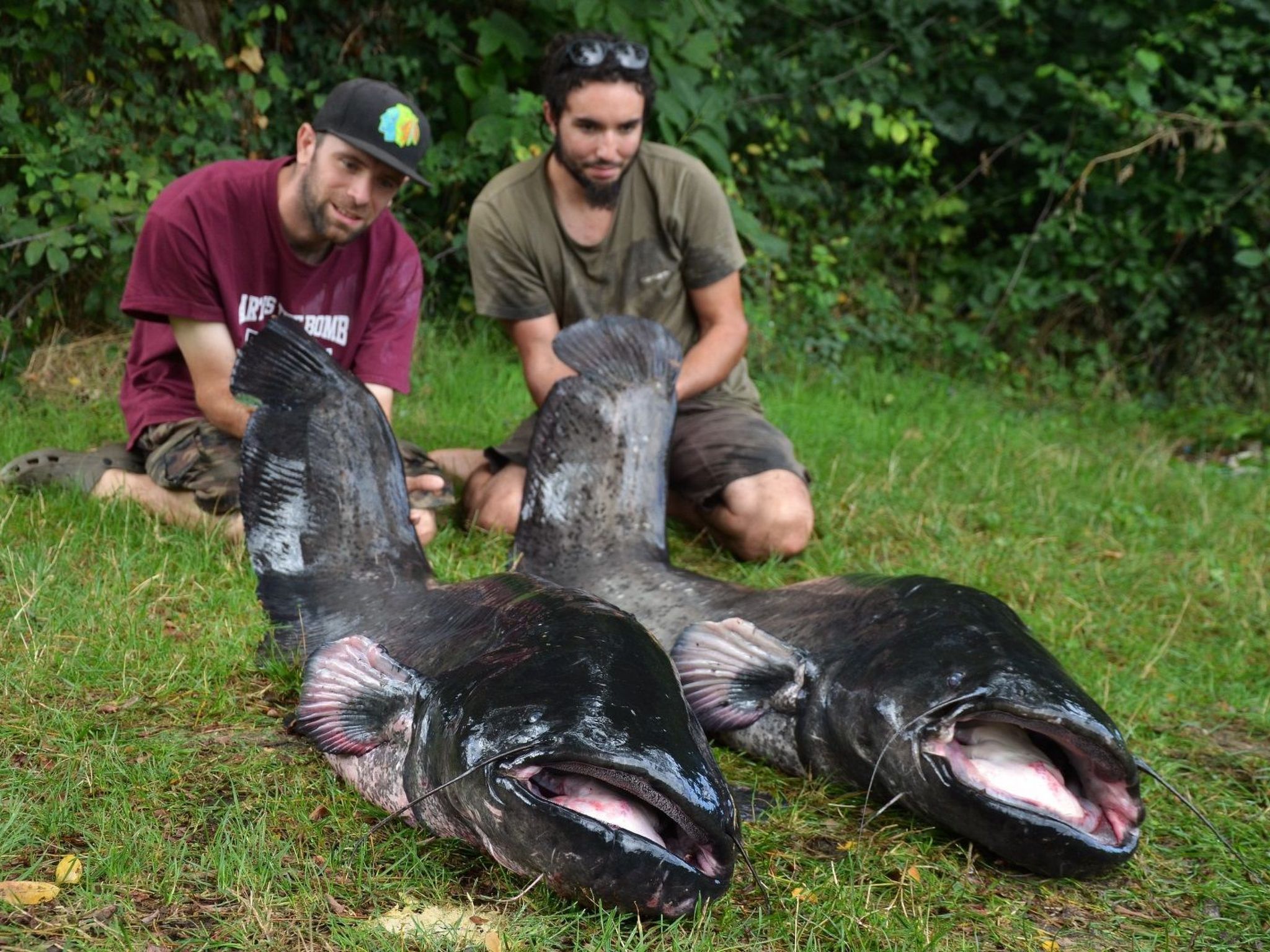 Haus freistehend Sonne Bett 160cm Patio billig-Dedans