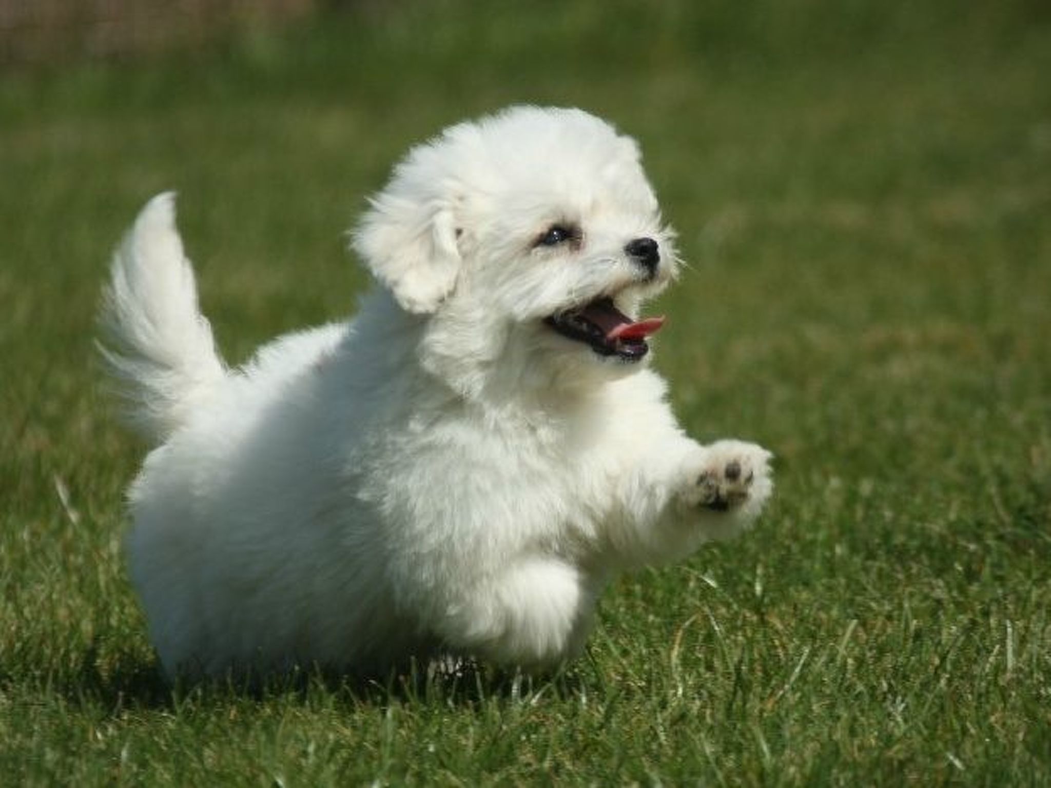Fachwerkhaus "gitealienor perigord"-Binnen