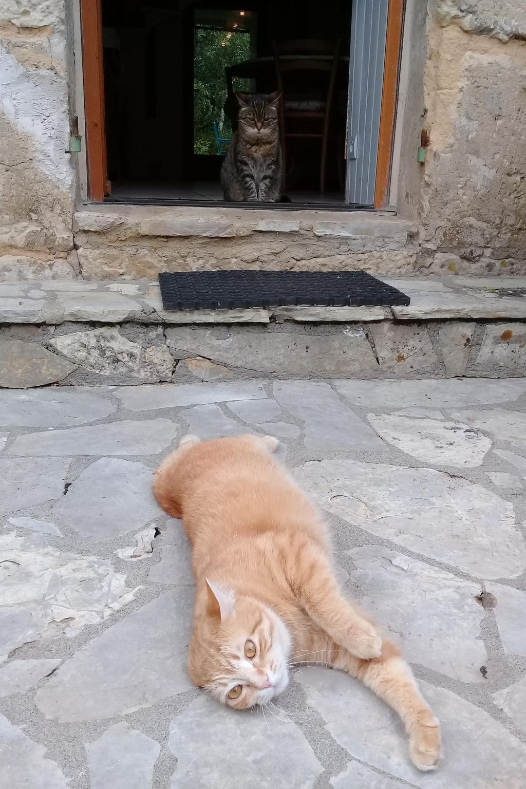 Fachwerkhaus "gitealienor perigord"-Binnen