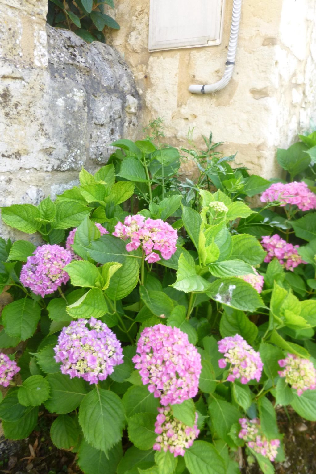 Fachwerkhaus "gitealienor perigord"-Binnen