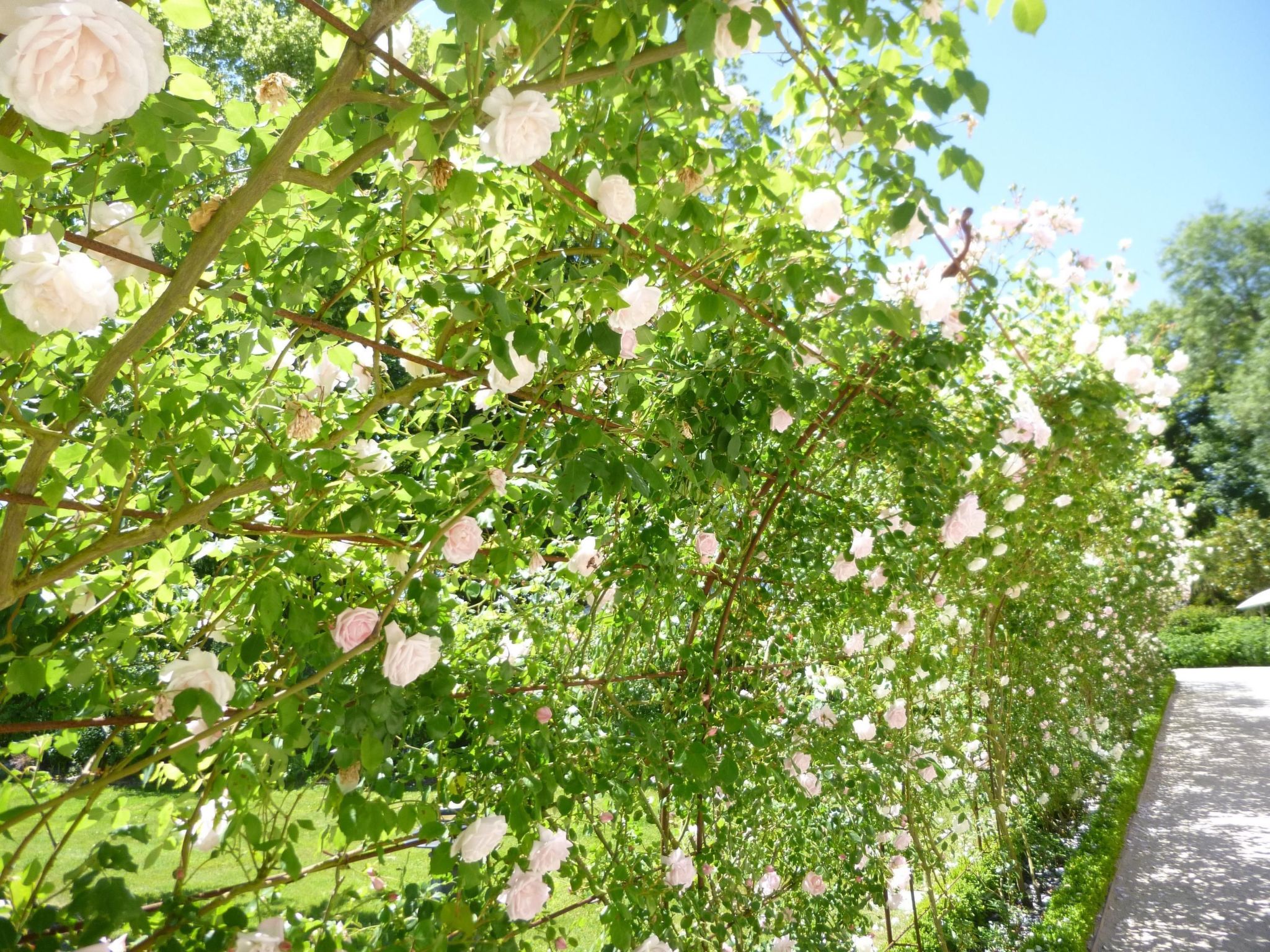 Fachwerkhaus "gitealienor perigord"-Binnen