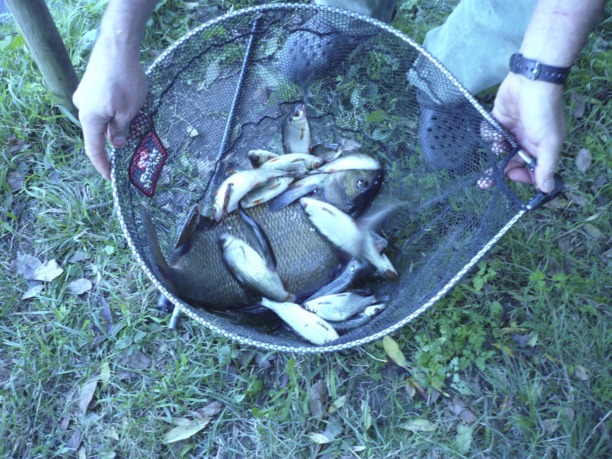 Fachwerkhaus "gitealienor perigord"-Binnen