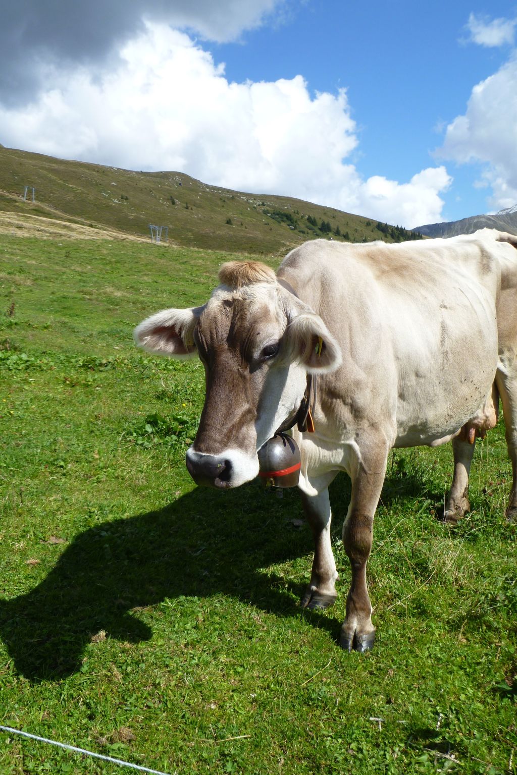 Fachwerkhaus "gitealienor perigord"-Binnen