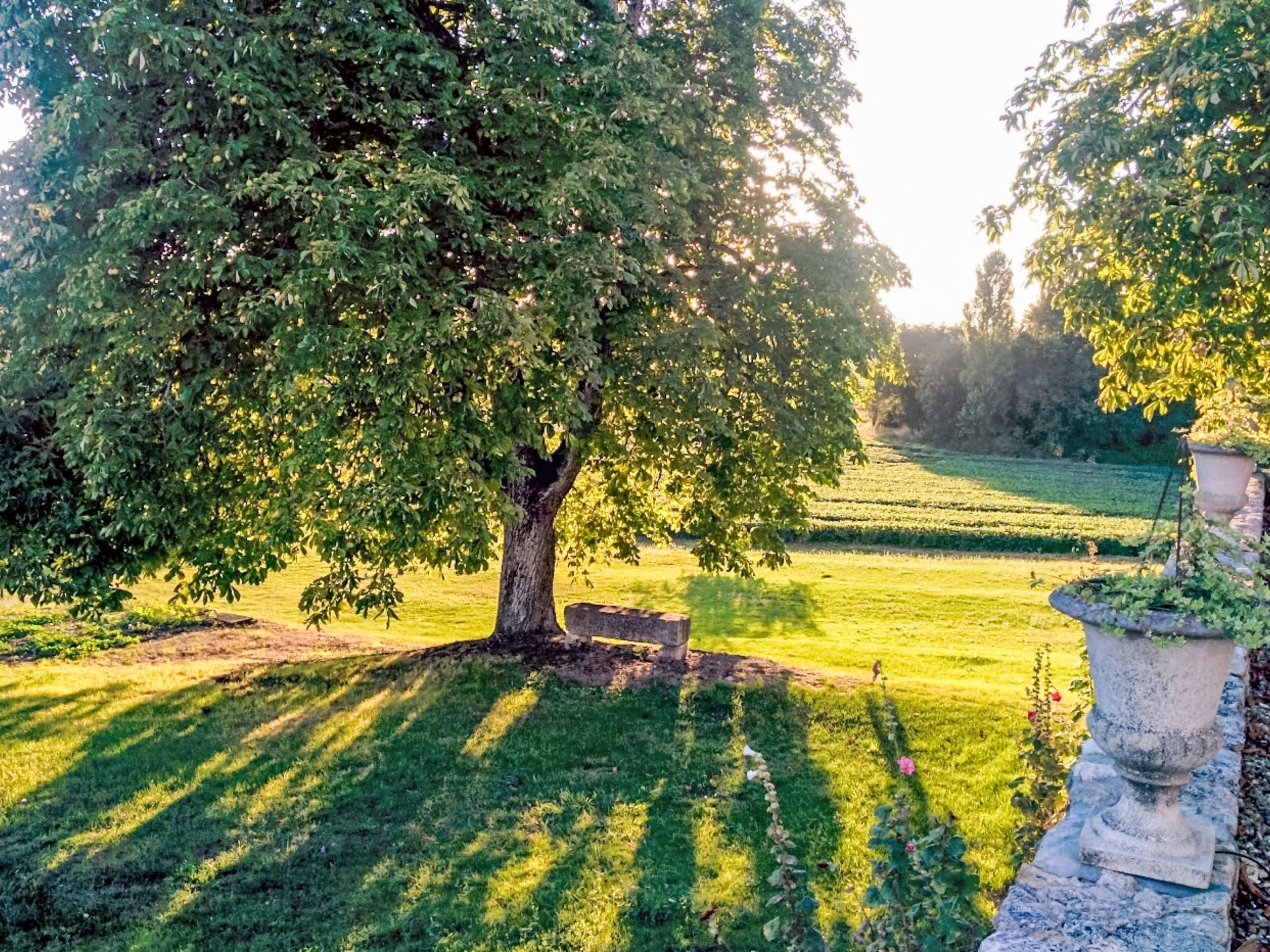 Villa Les Maisons Monplaisir – Vue aérienne, photo 116 sur 116