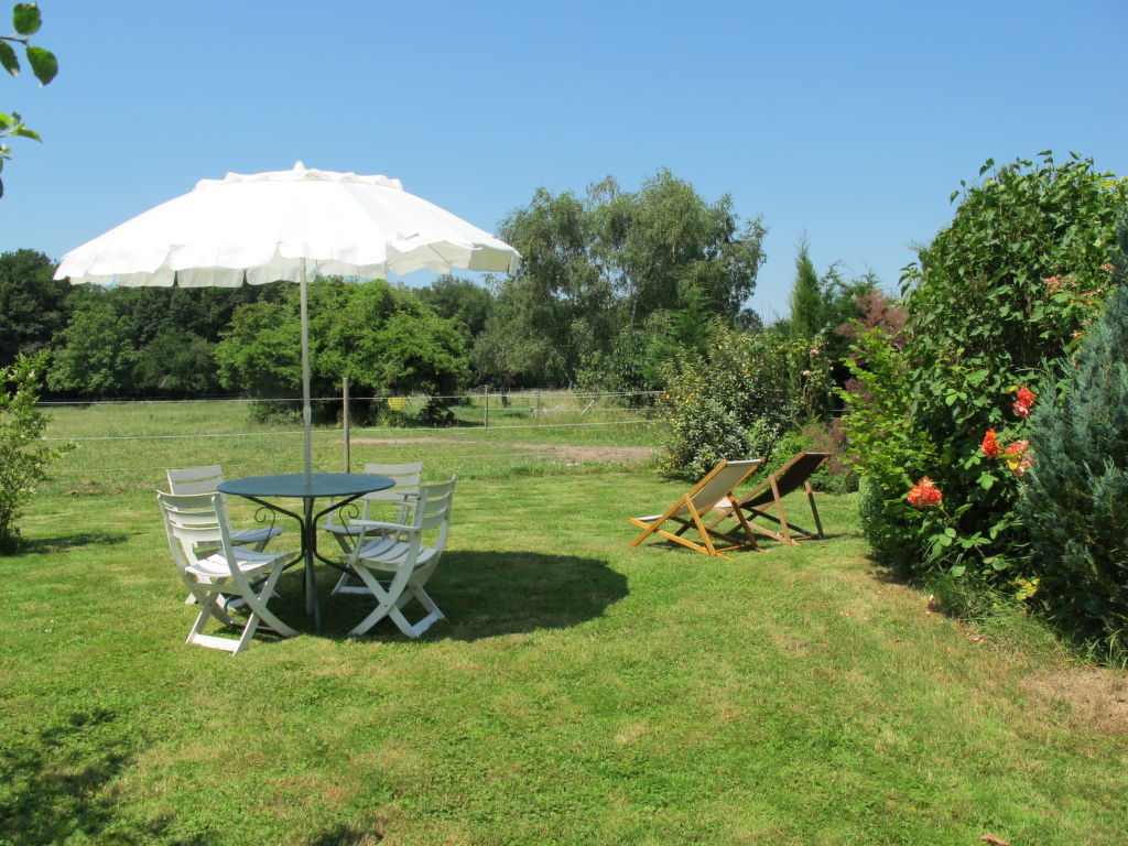 Bild 15