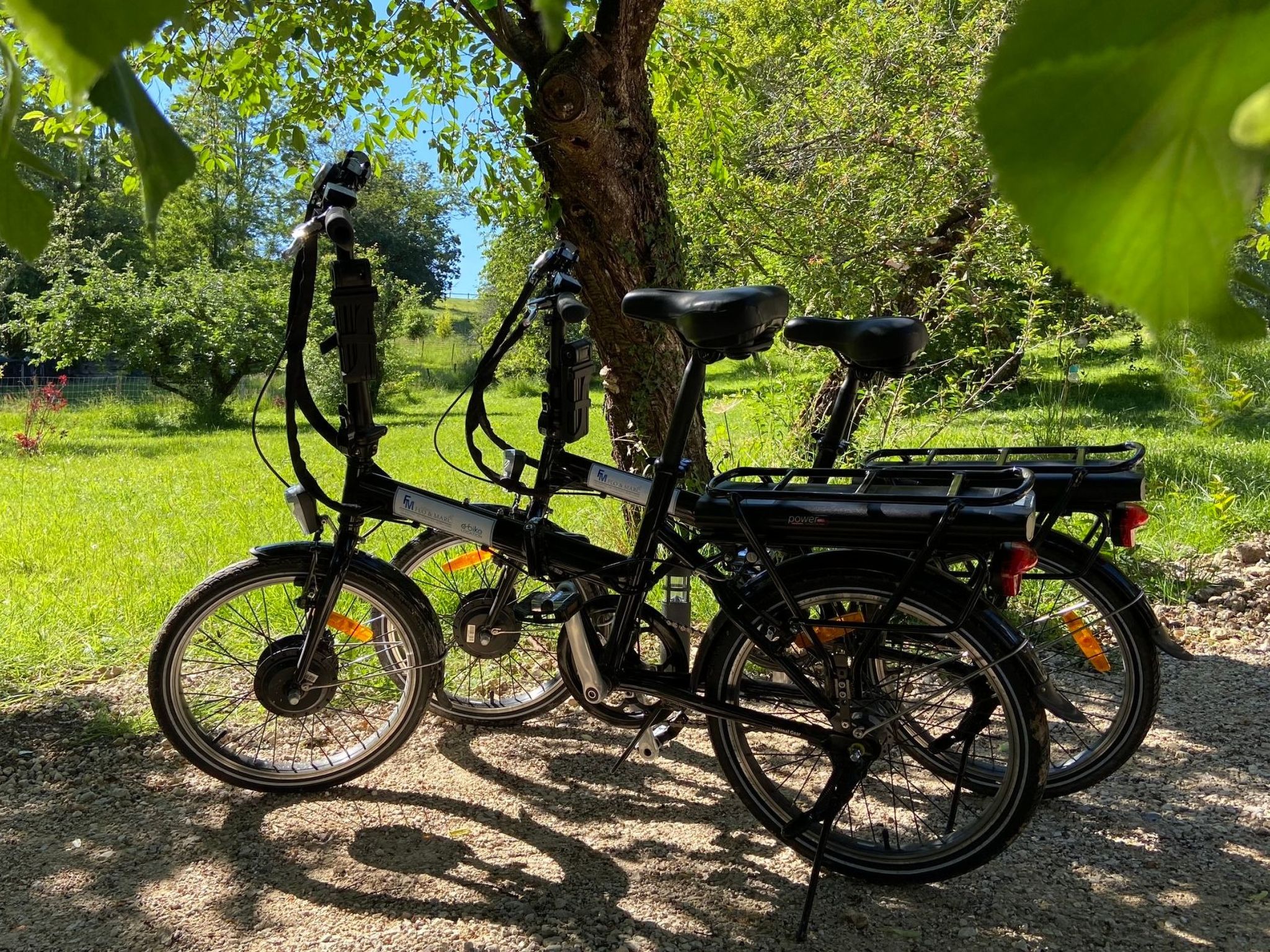 In Chouzy-Sur-Cisse mit Grill, Terrasse und Garten-Image-tags.info