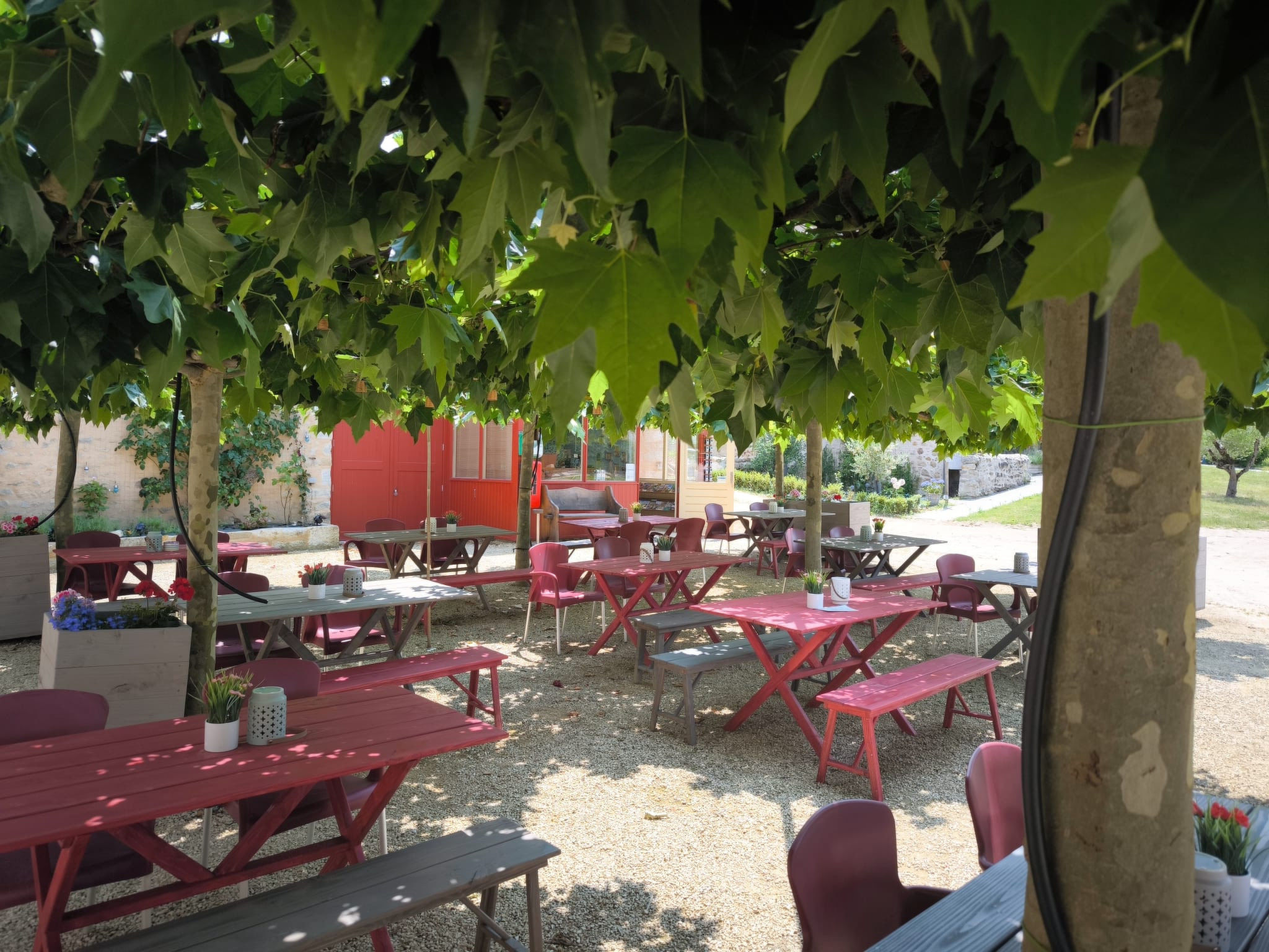 Parc de la Brenne - Safaritent accessible - Drinnen