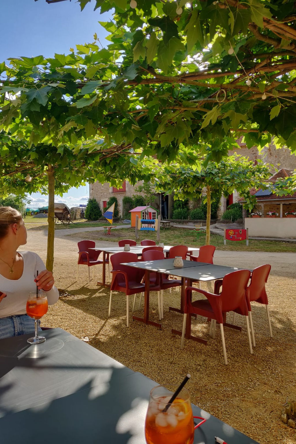 Parc de la Brenne - Safaritent - Drinnen