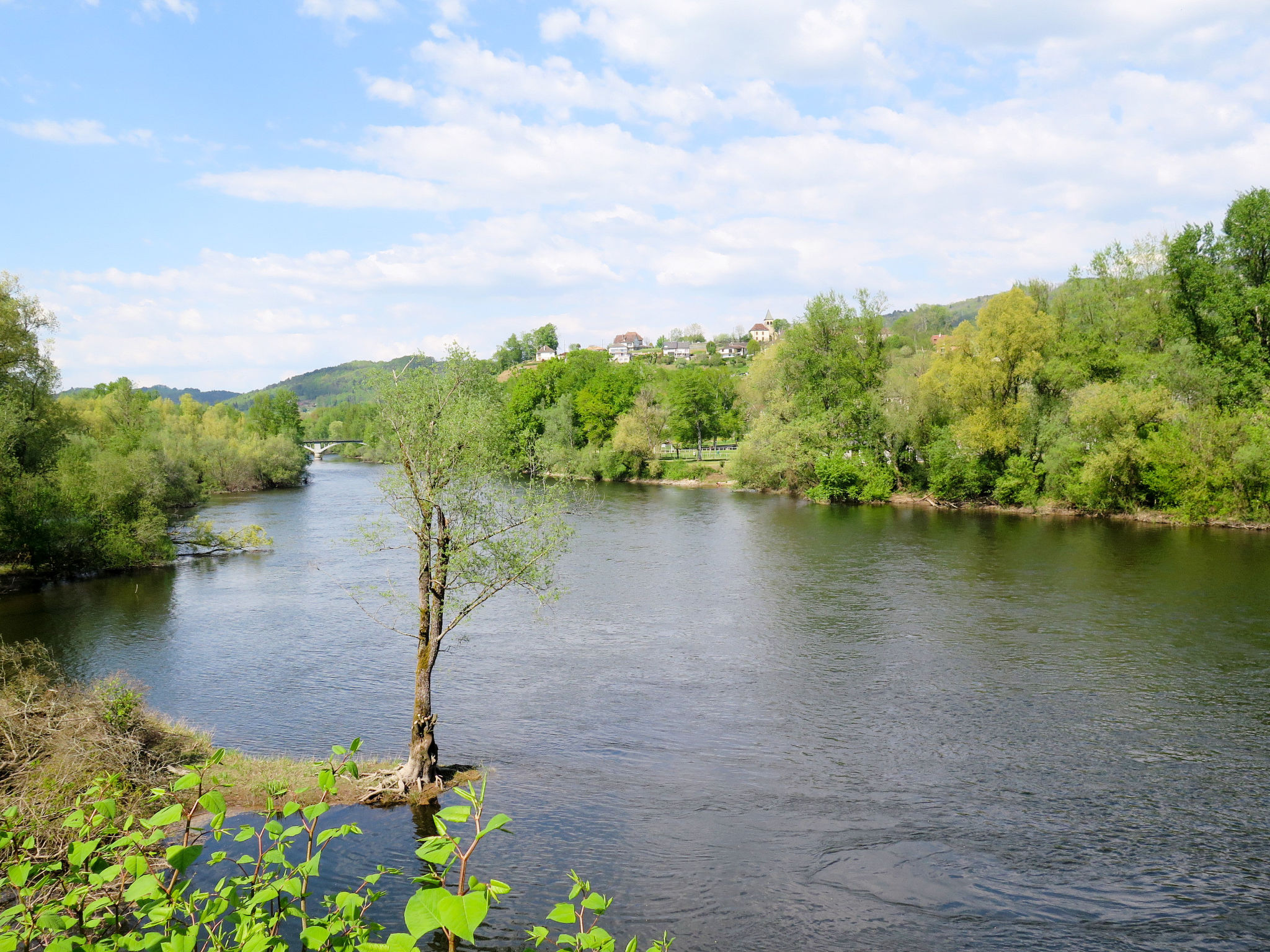 Holiday Rental Accommodation