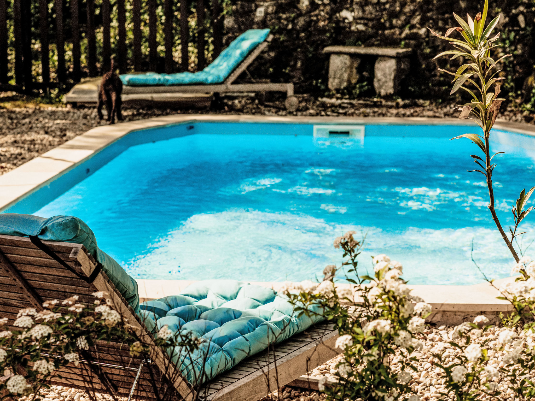 Maison – Piscine extérieure, photo 6 sur 27