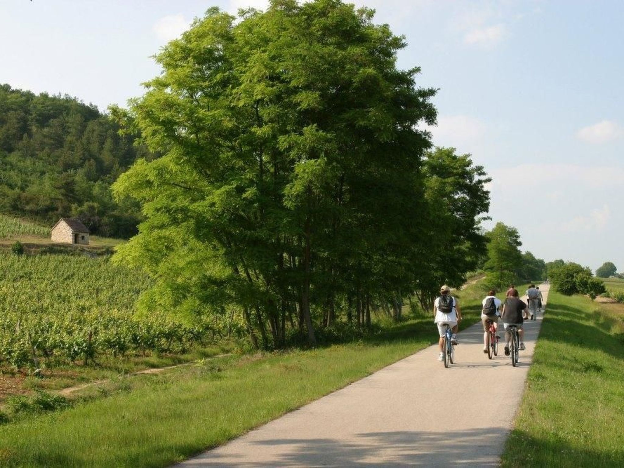 Le gite du randonneur (Das Ferienhaus des Wanderers)-Image-tags.info