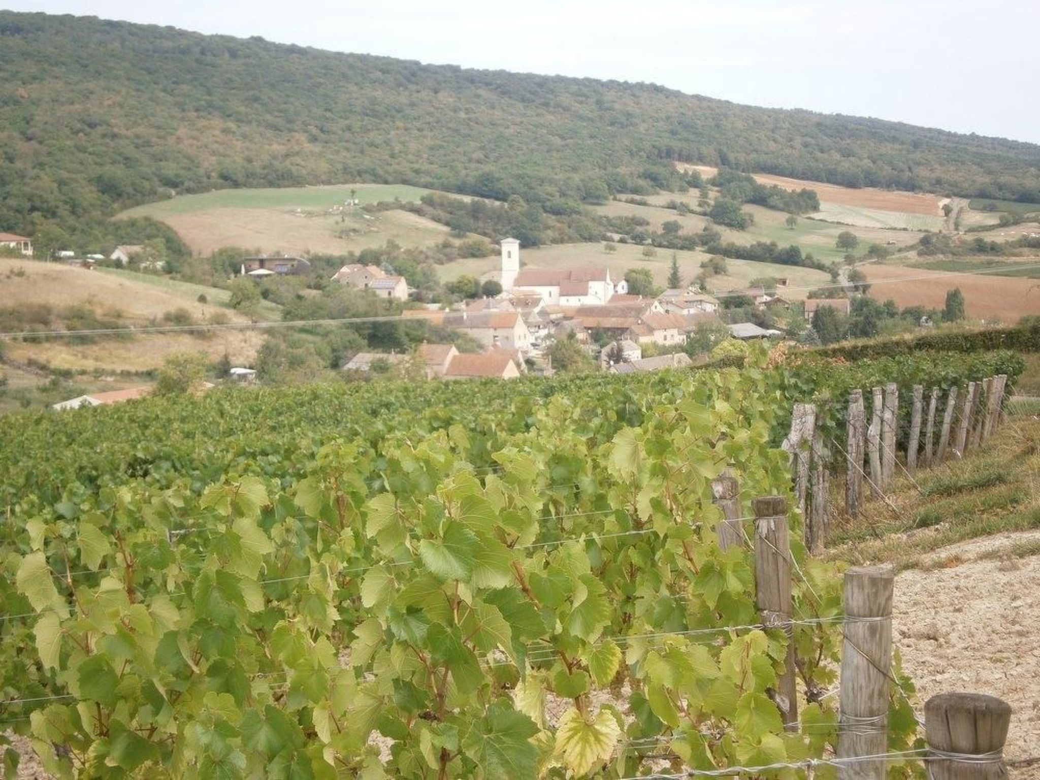 Le gite du randonneur (Das Ferienhaus des Wanderers)-Image-tags.info