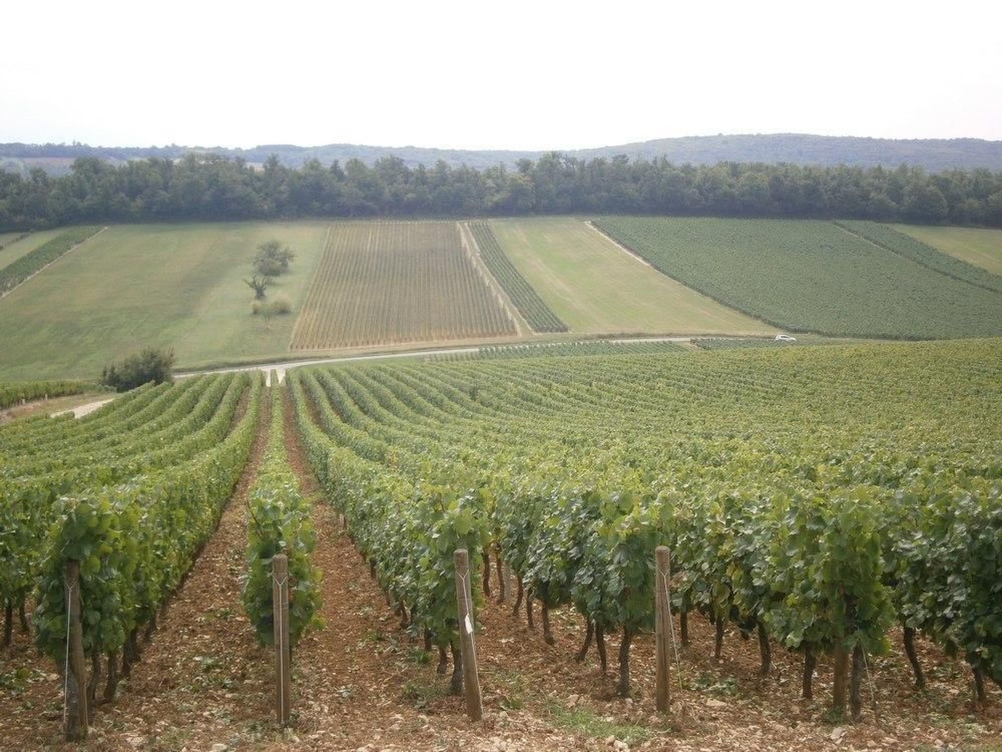 Le gite du randonneur (Das Ferienhaus des Wanderers)-Image-tags.info