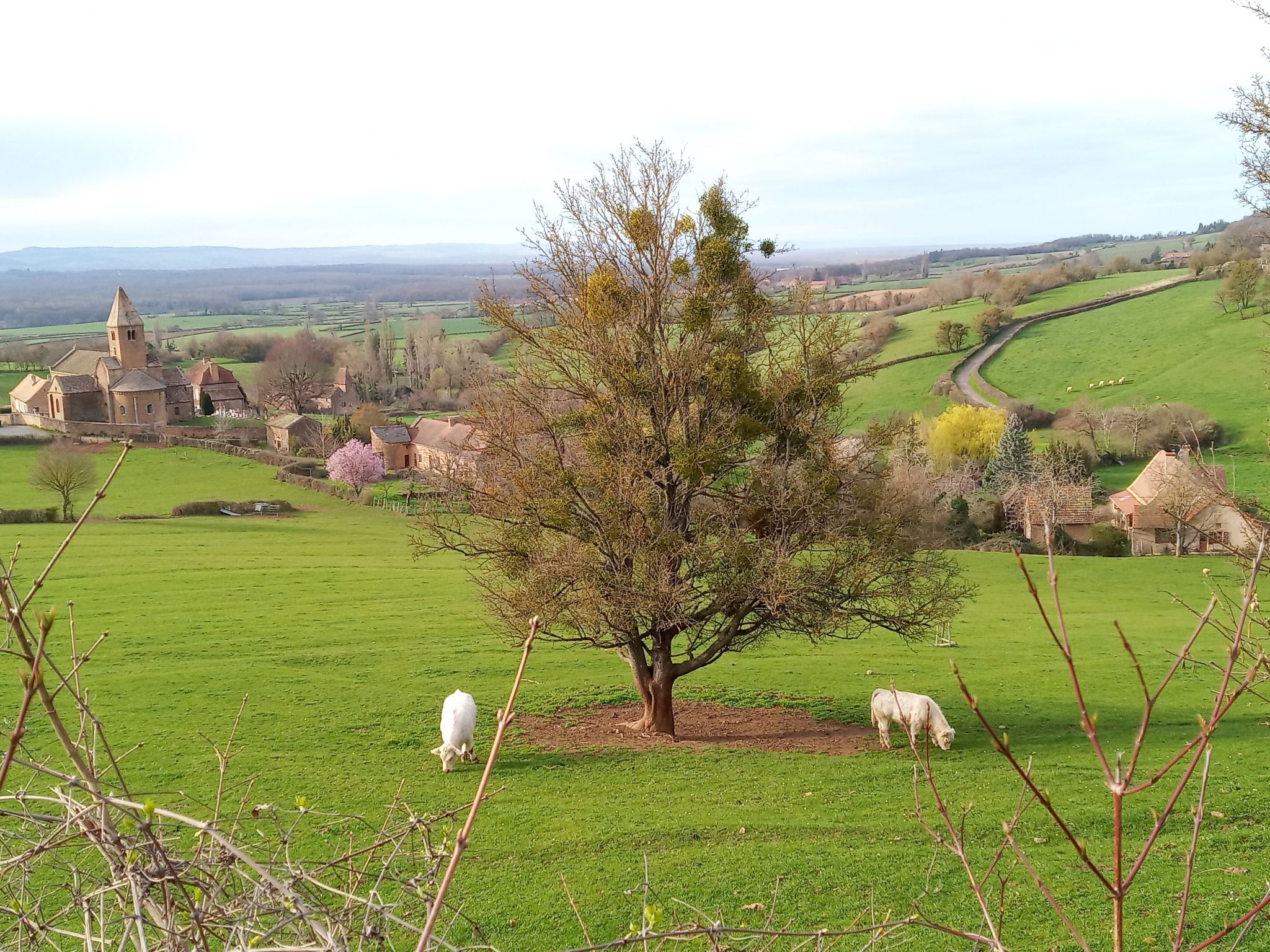 An der Weinstraße von Burgund-Image-tags.info