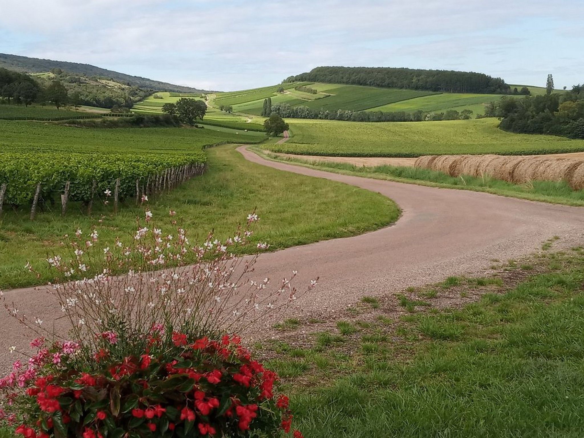 An der Weinstraße von Burgund-Image-tags.info