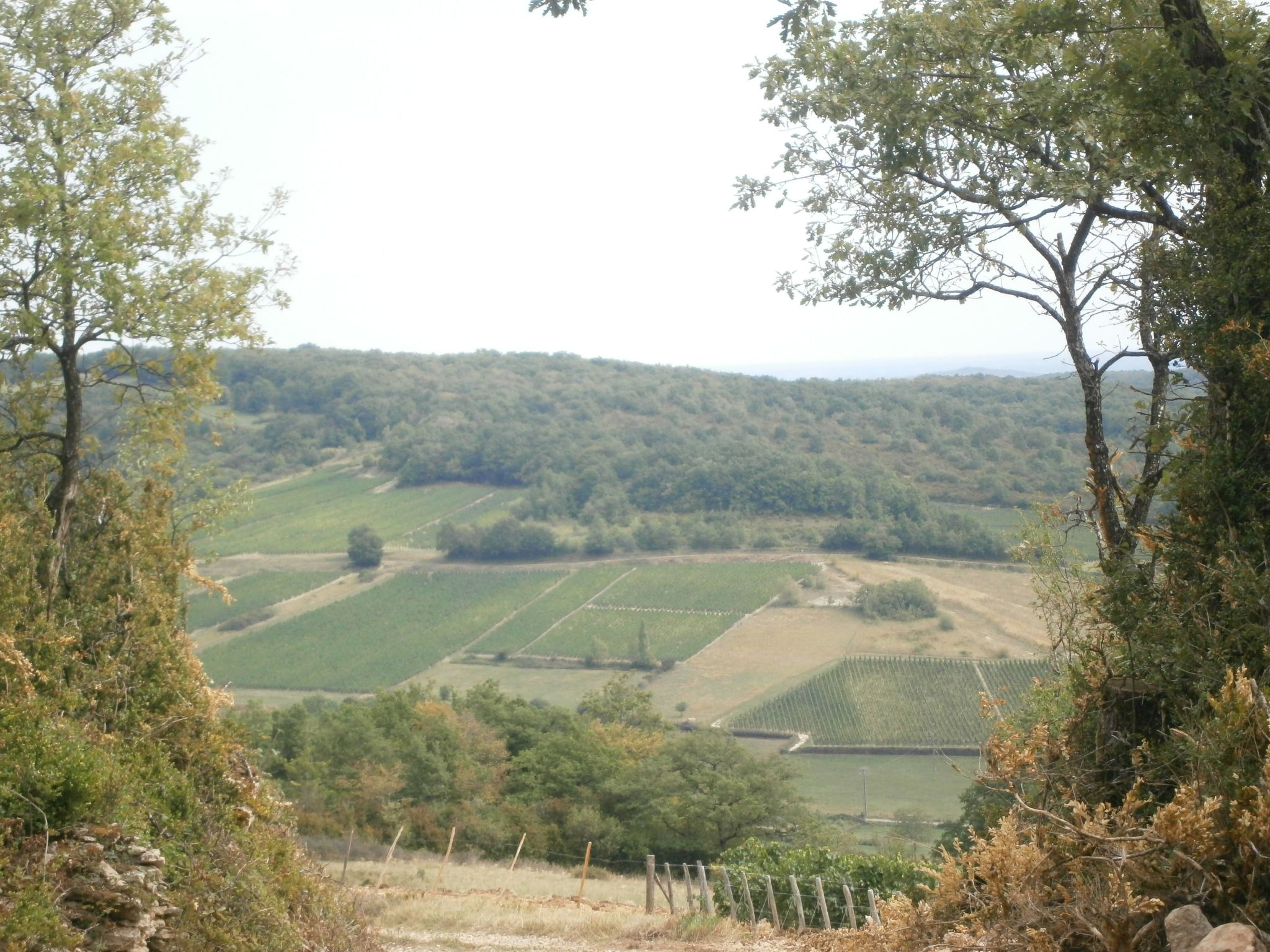 An der Weinstraße von Burgund-Image-tags.info