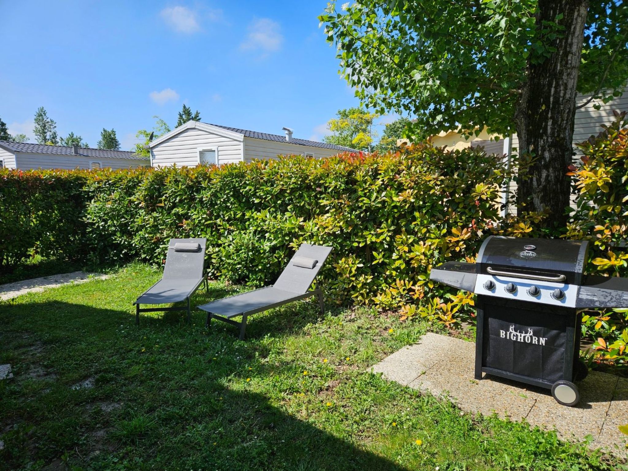 Die Ufer der Rhone-Image-tags.info