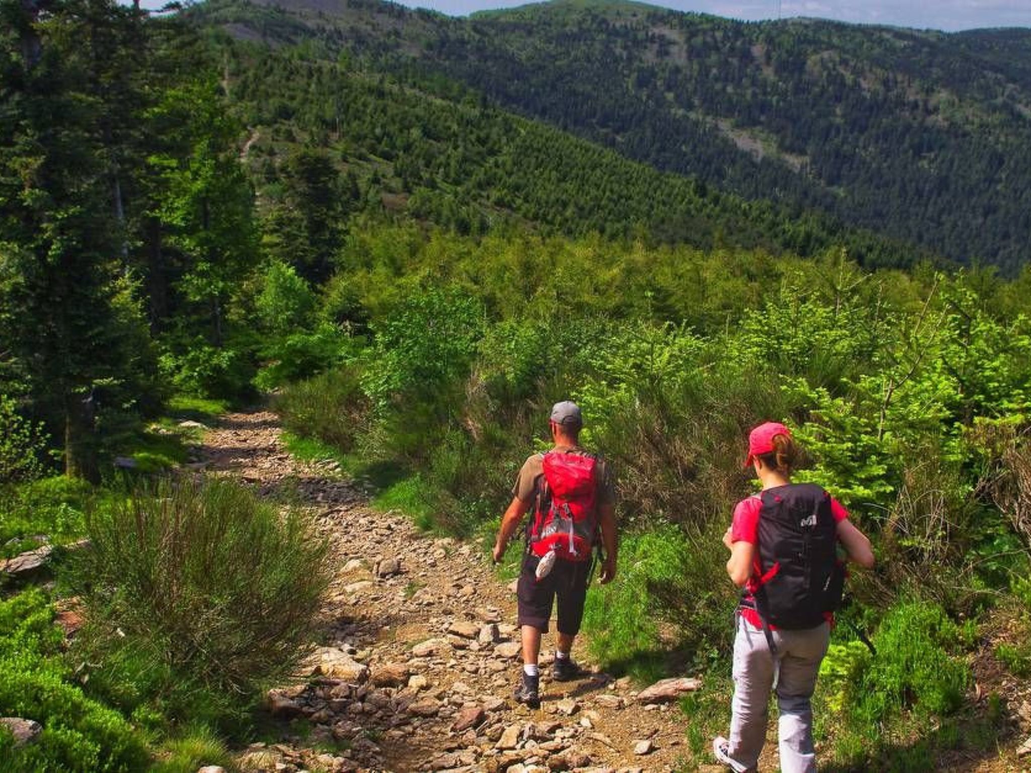 Die Ufer der Rhone-Image-tags.info