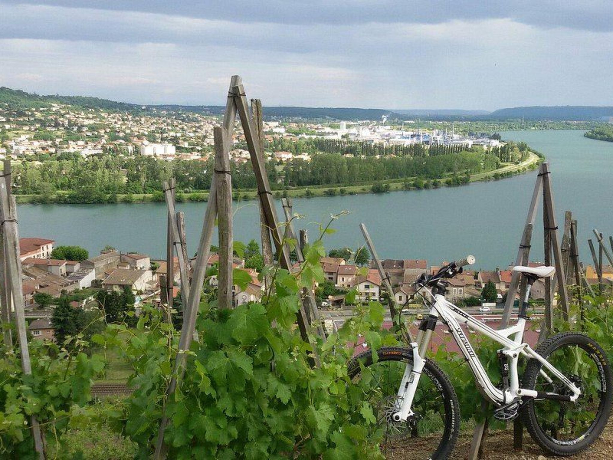 Die Ufer der Rhone-Image-tags.info