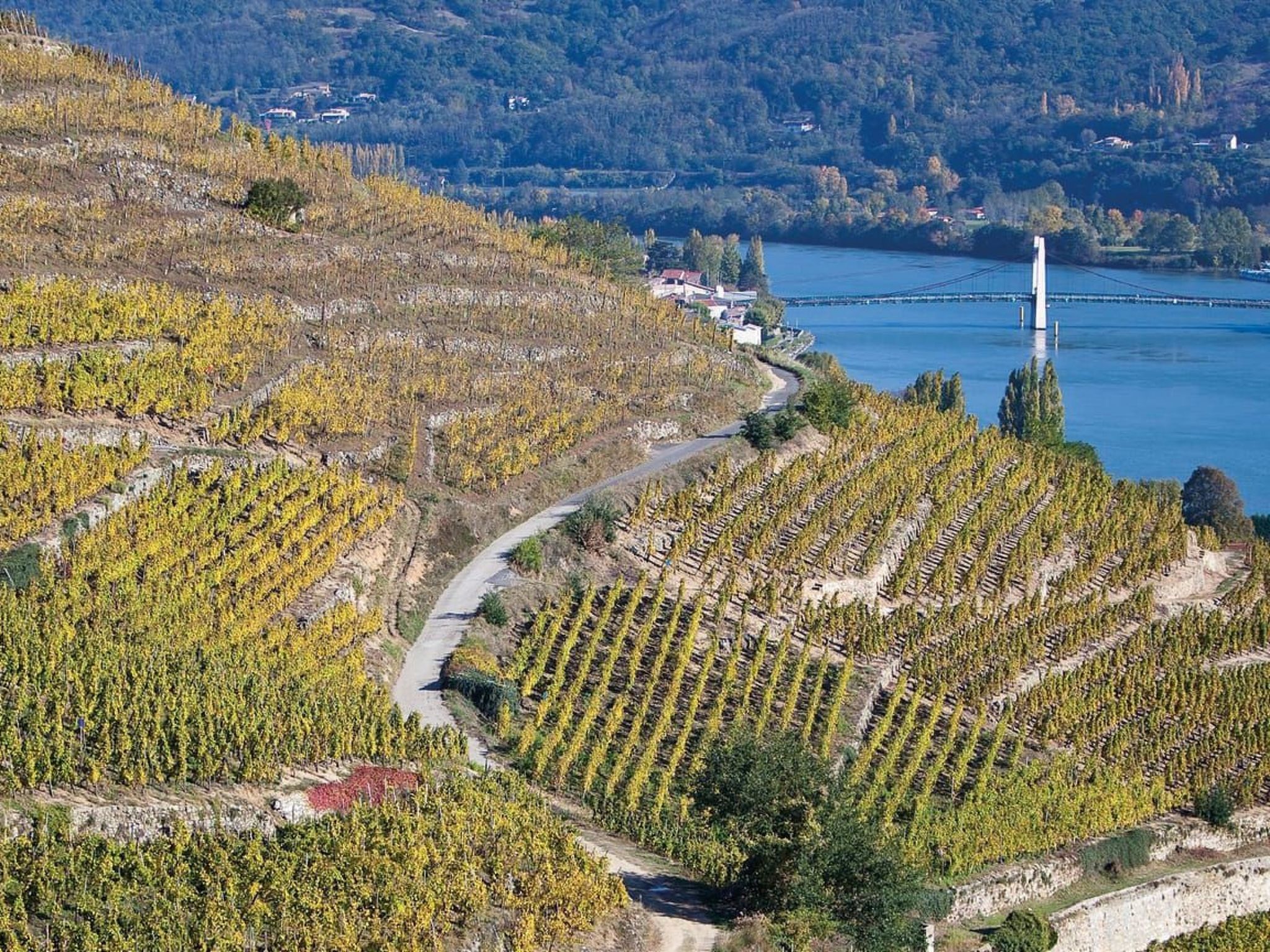 Die Ufer der Rhone-Image-tags.info