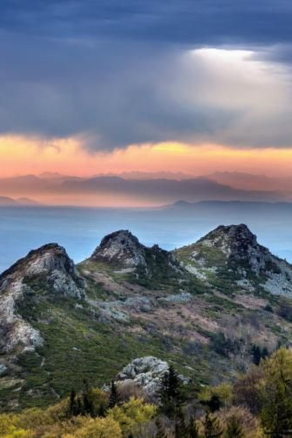 Die Ufer der Rhone-Image-tags.info